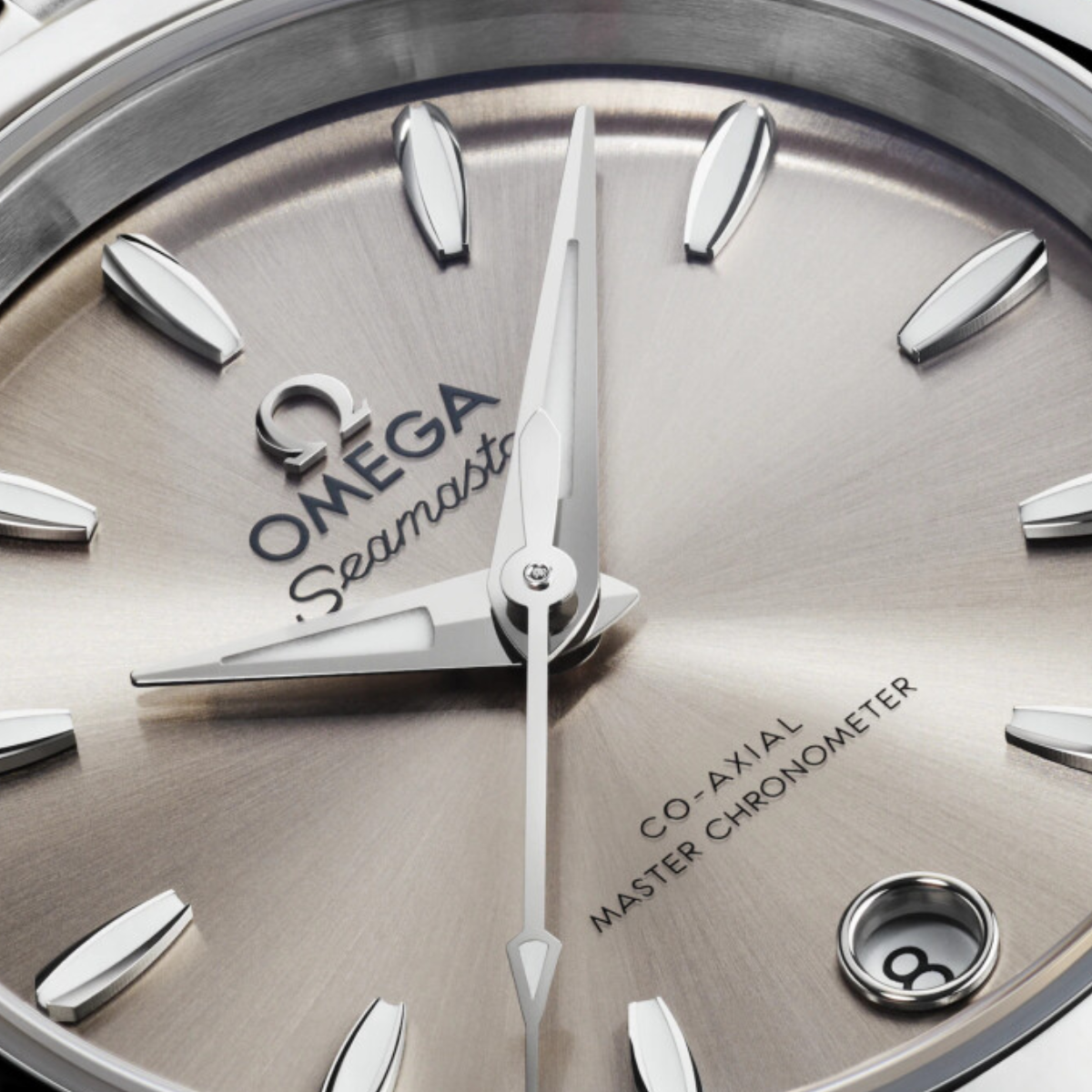 OMEGA Seamaster