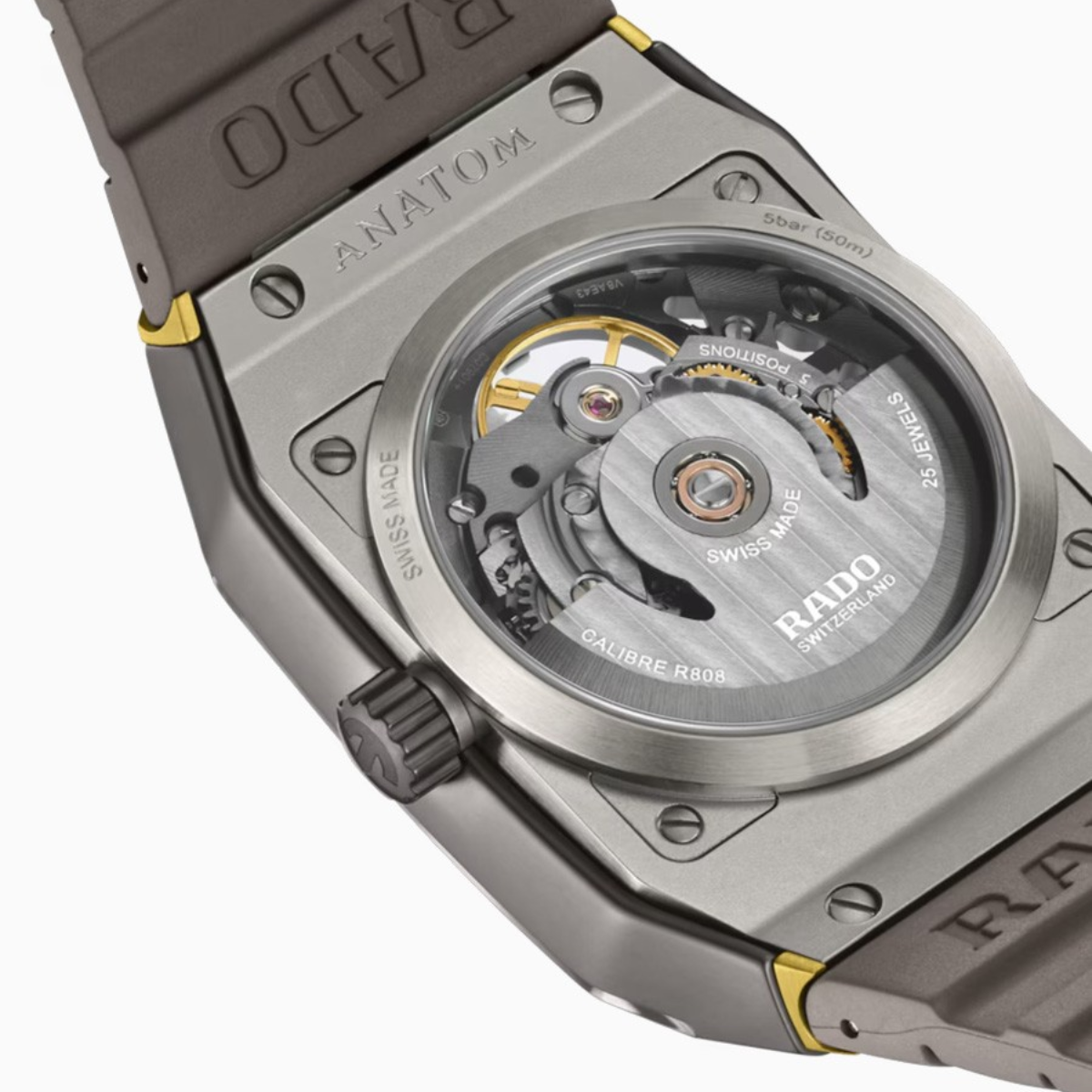 Rado Anatom Skeleton