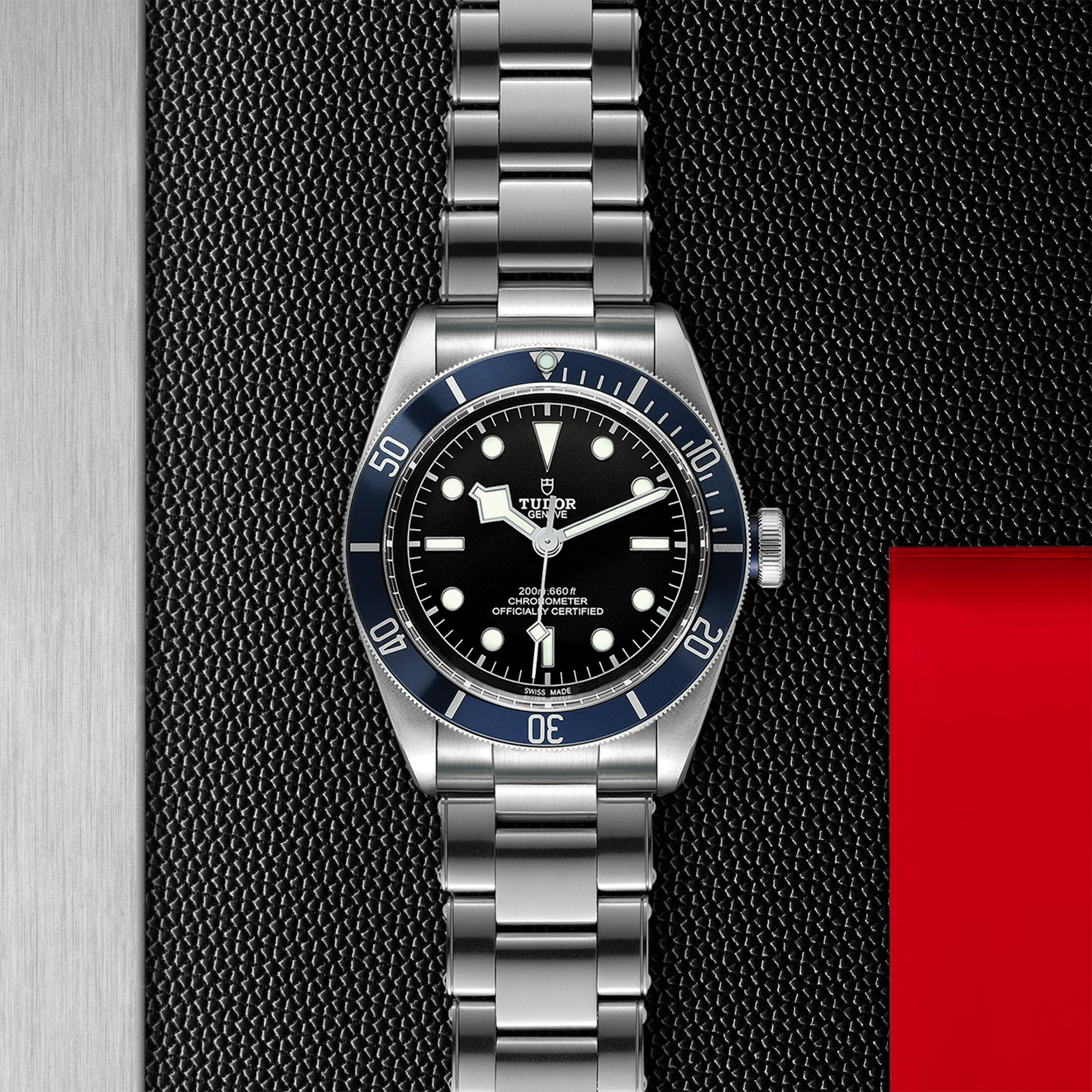Tudor Black Bay
