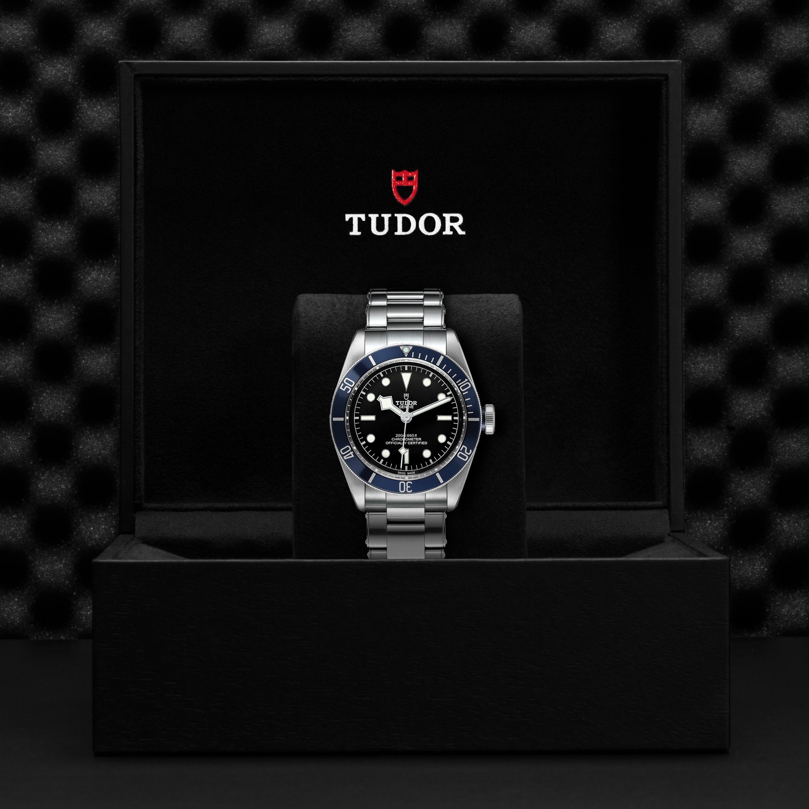 Tudor Black Bay