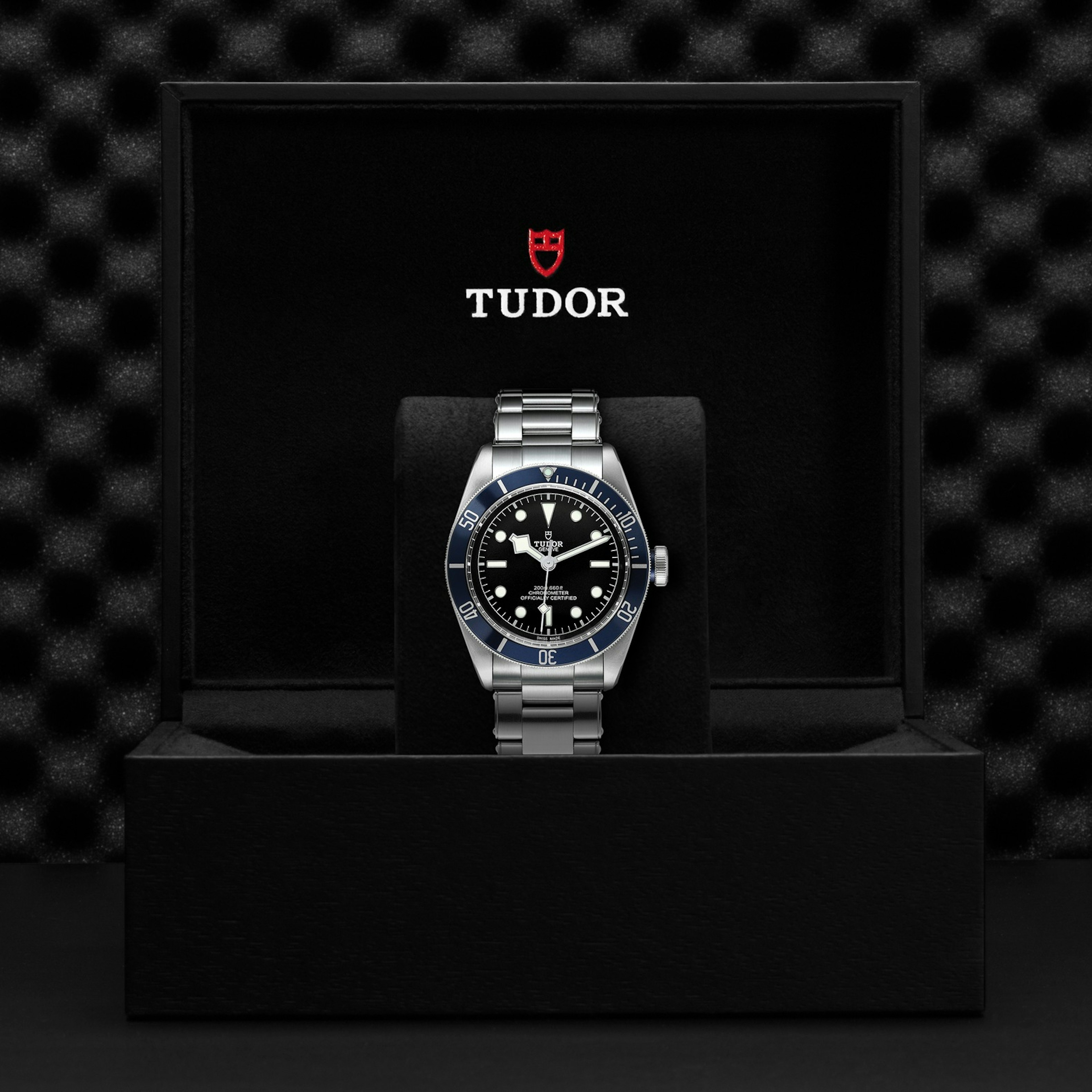 Tudor Black Bay