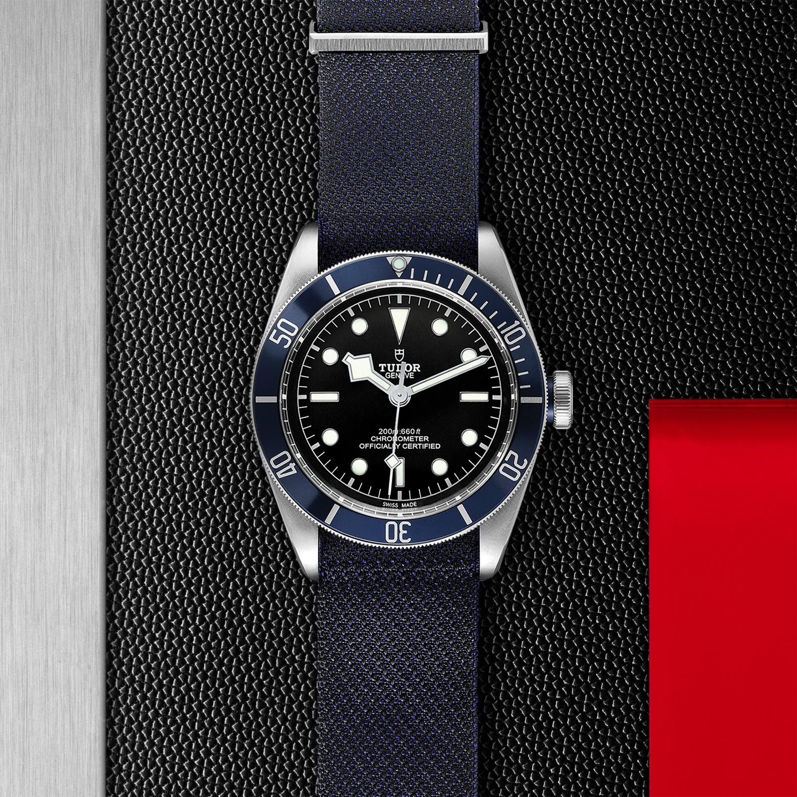 Tudor Black Bay