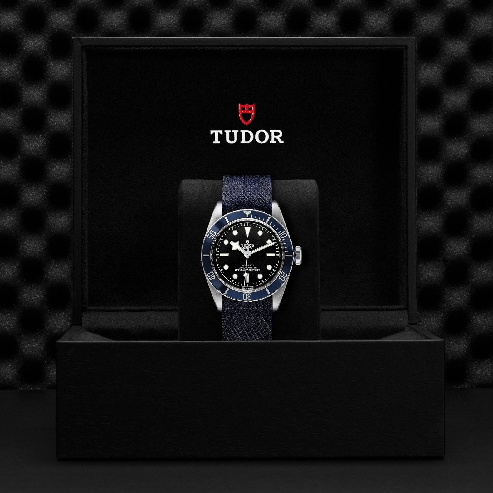 Tudor Black Bay