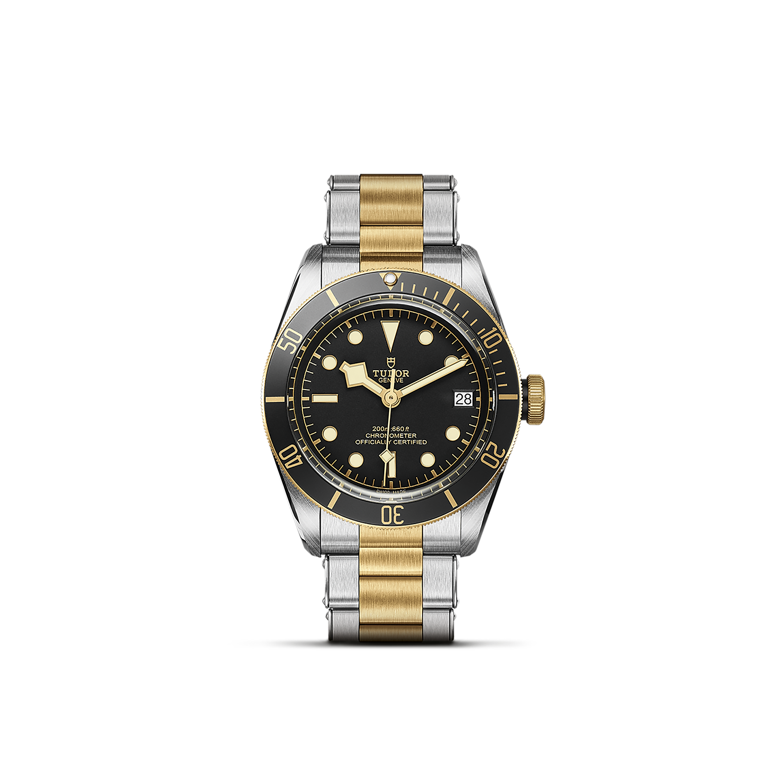 Tudor Black Bay