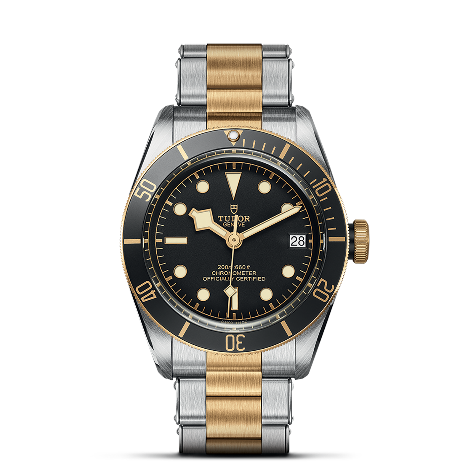 Tudor Black Bay