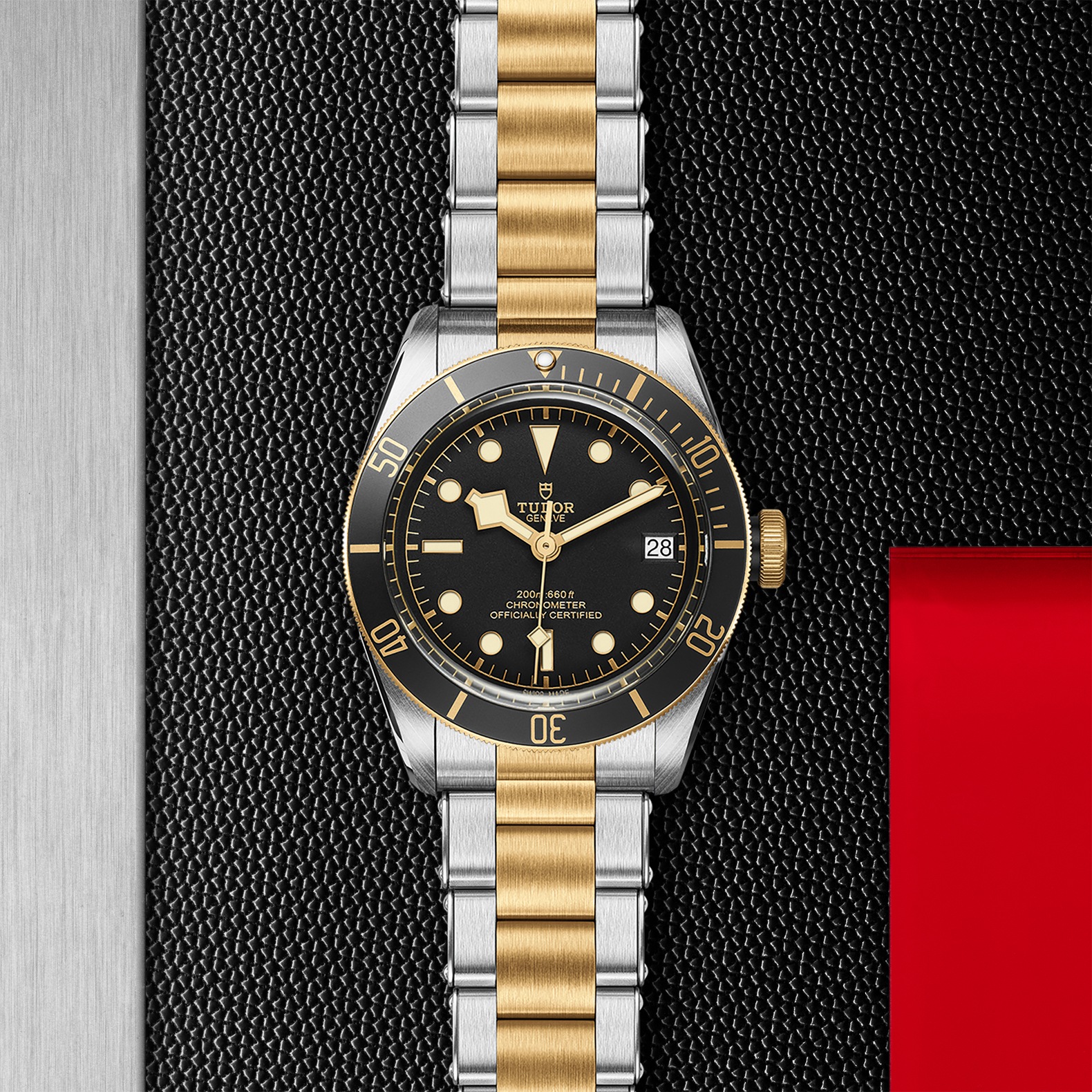 Tudor Black Bay