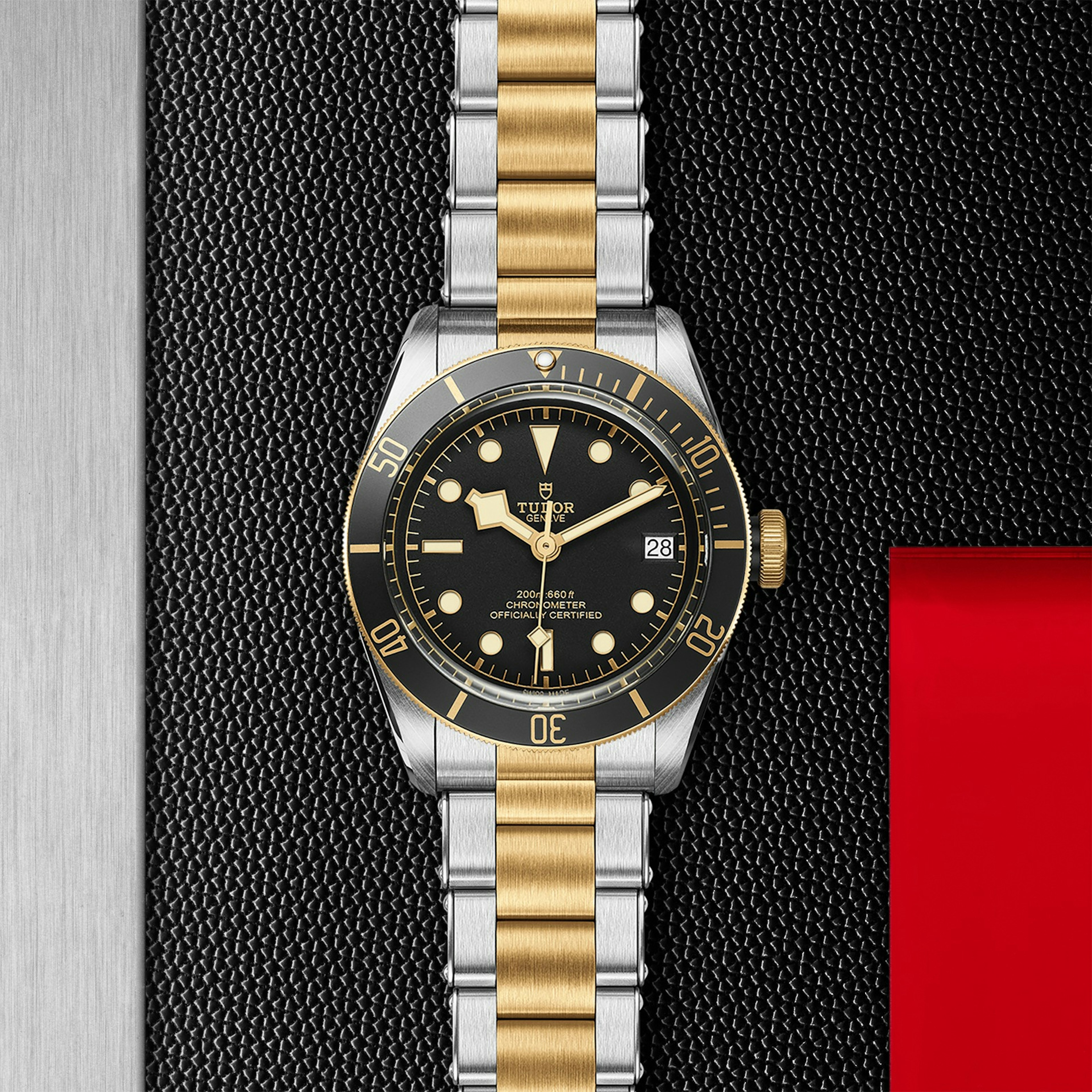 Tudor Black Bay