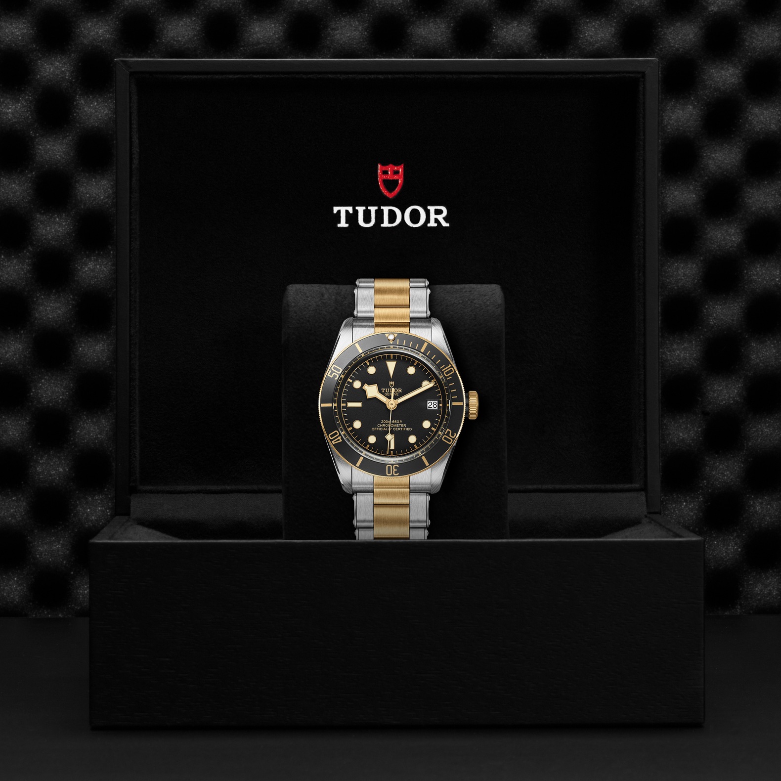 Tudor Black Bay