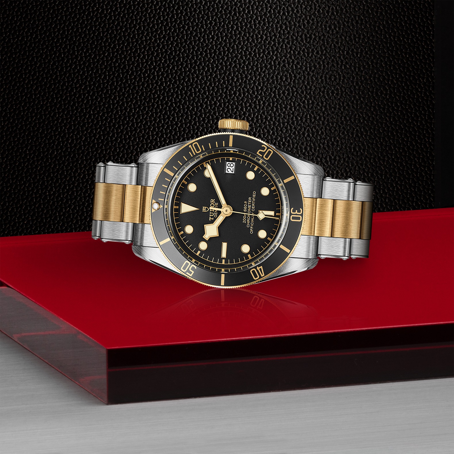 Tudor Black Bay