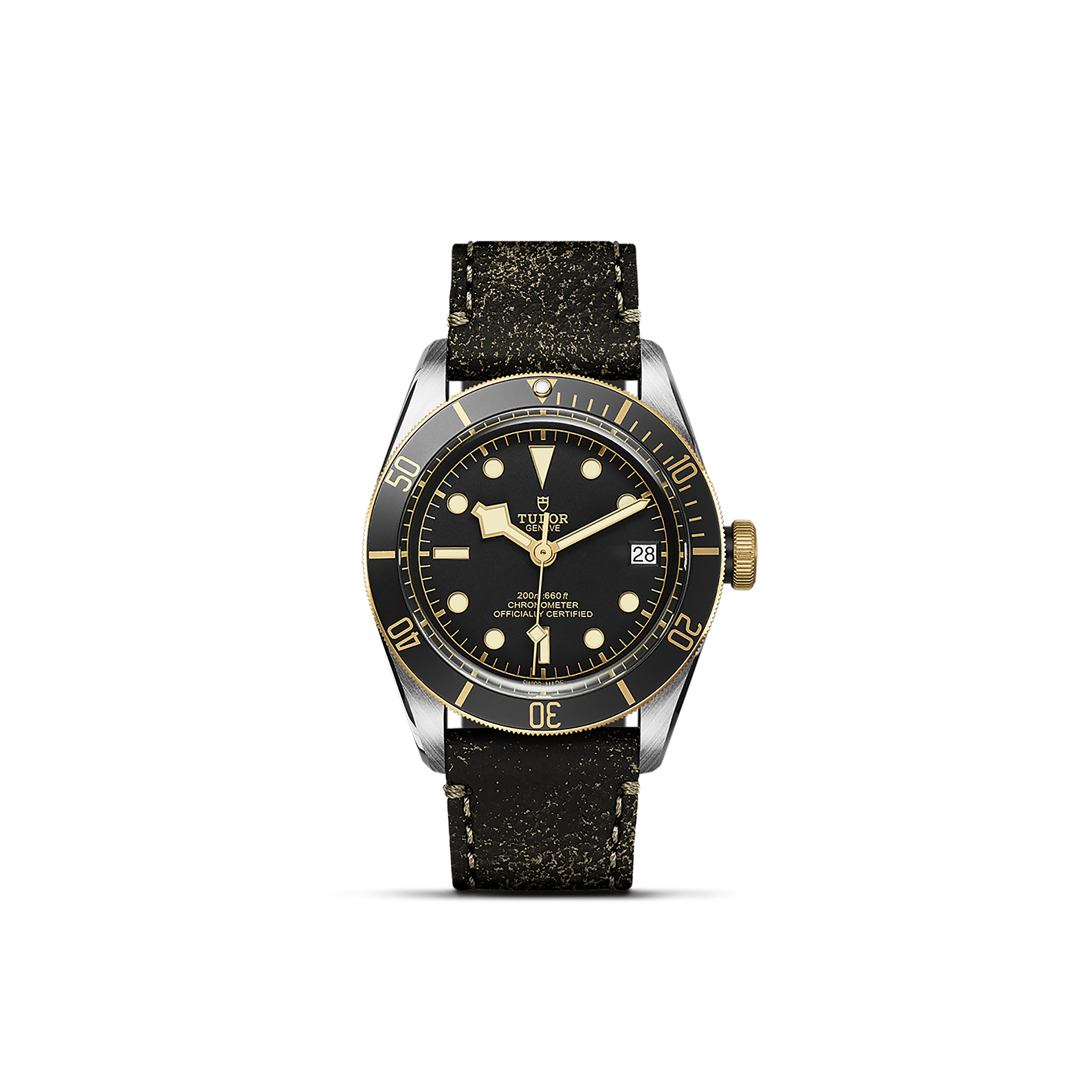 Tudor Black Bay