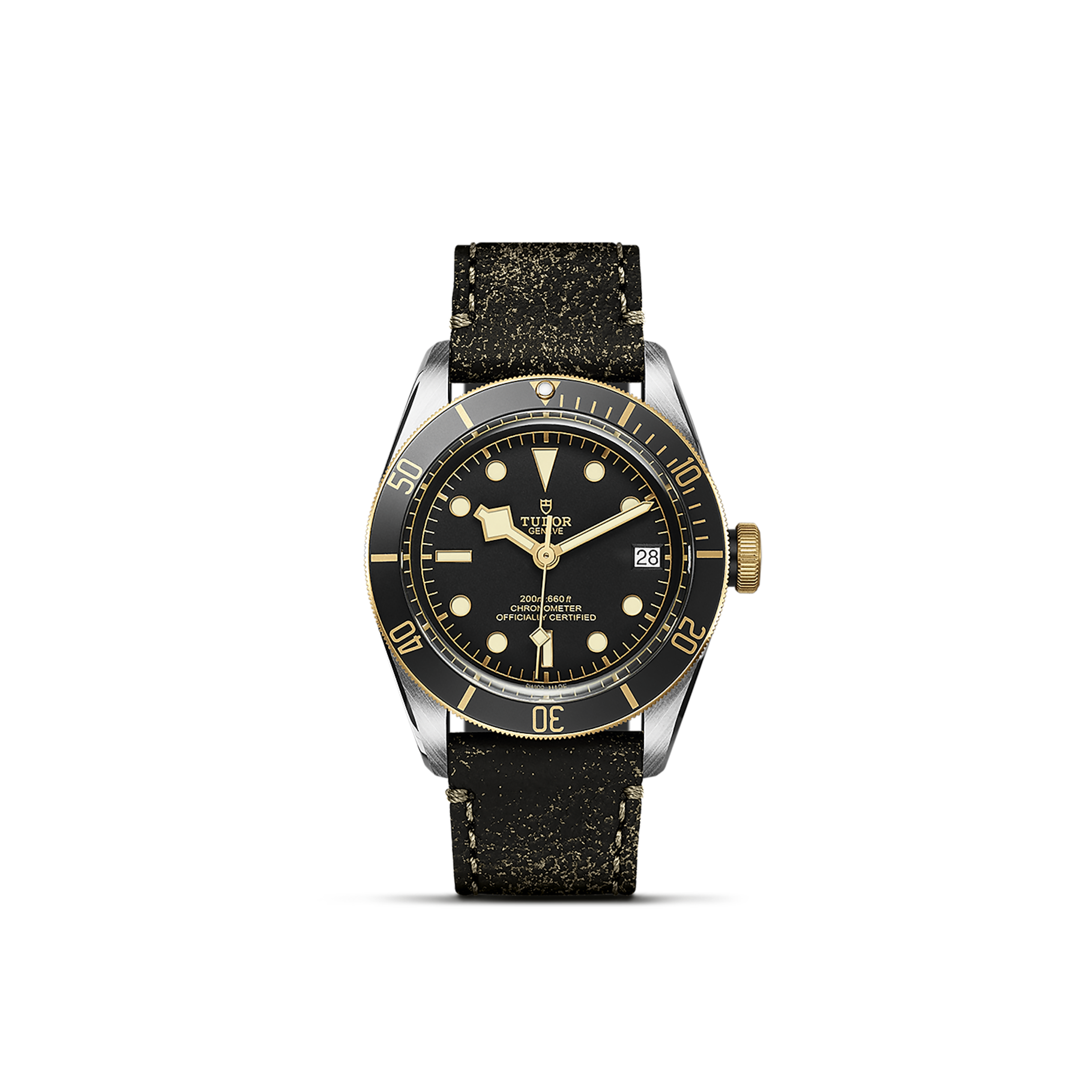 Tudor Black Bay