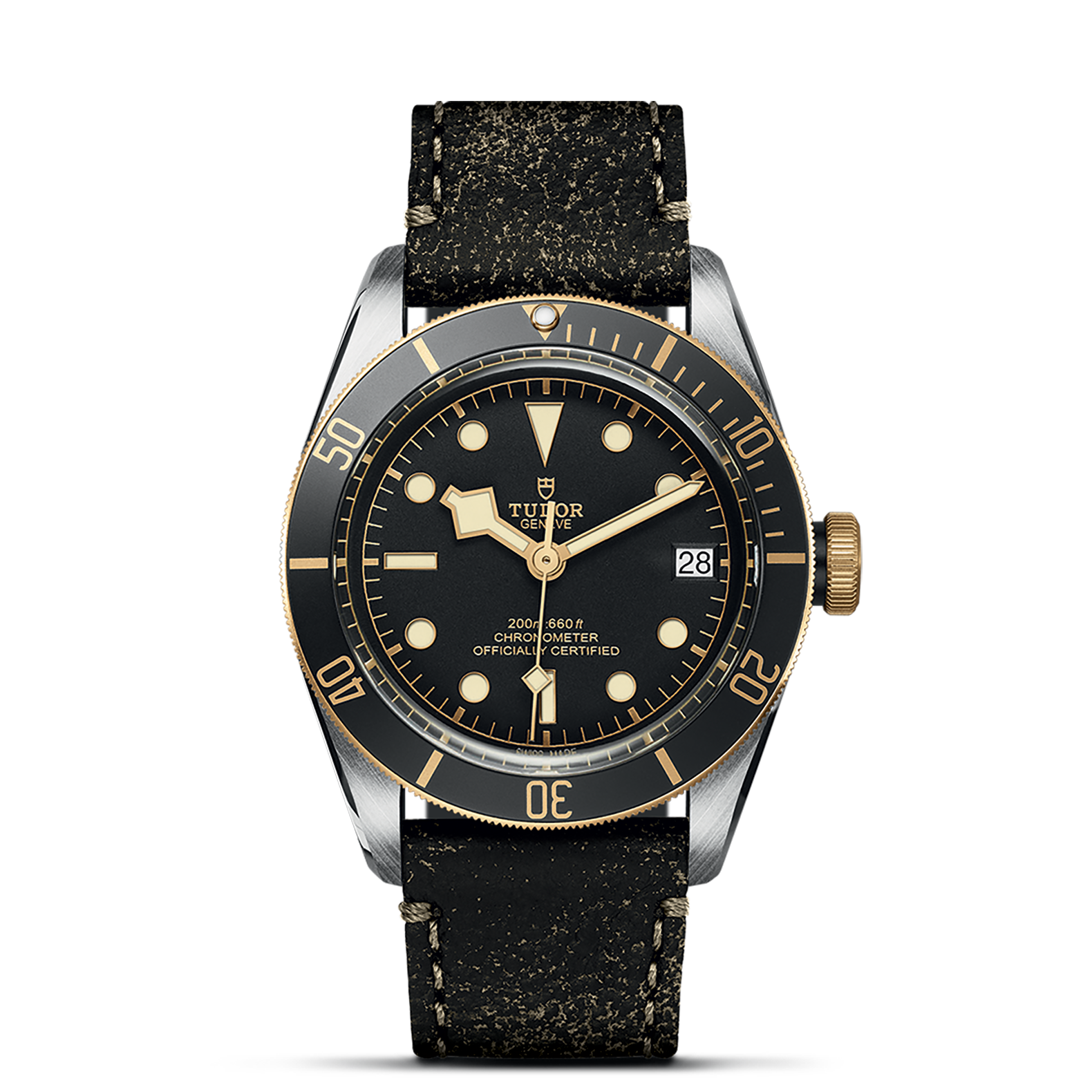 Tudor Black Bay