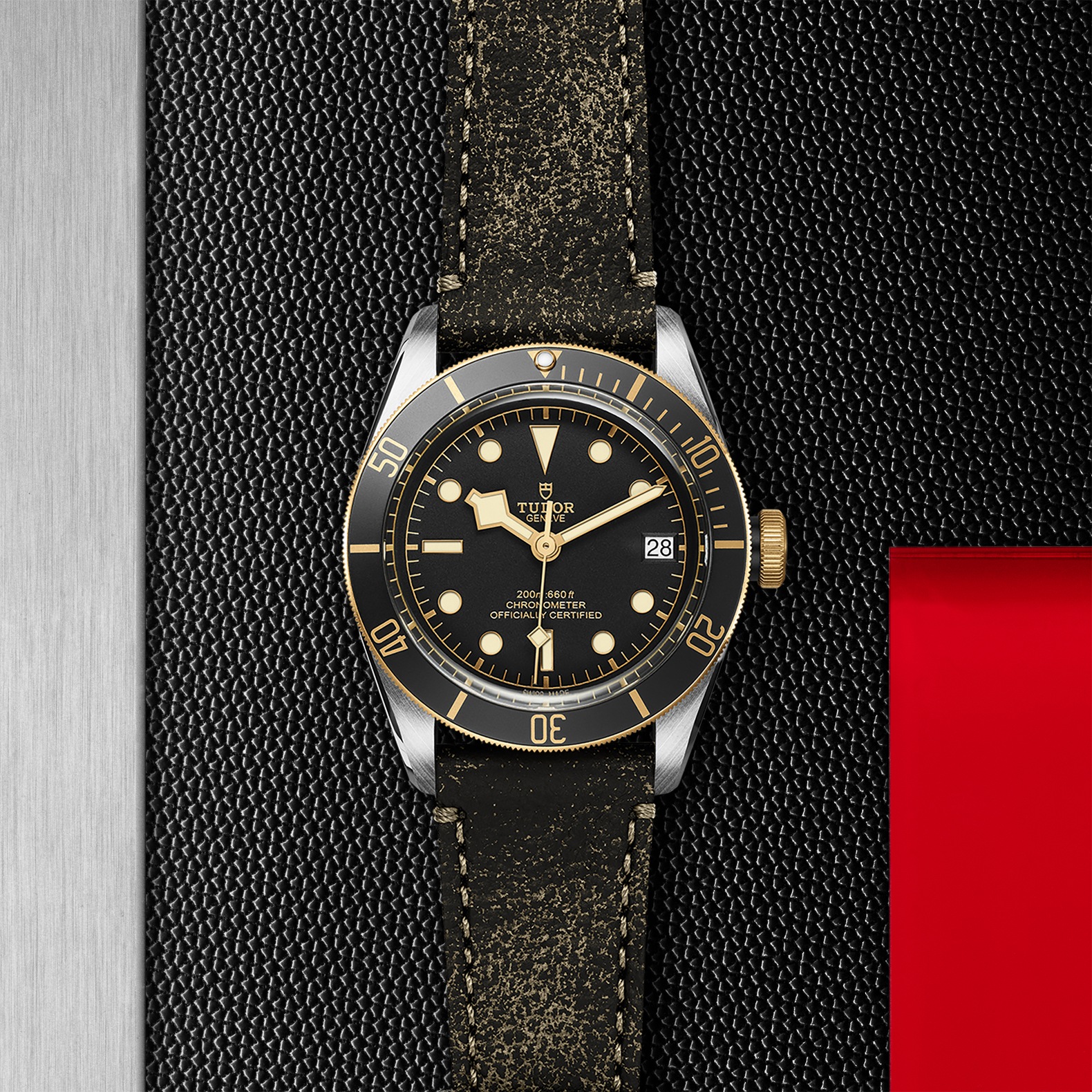 Tudor Black Bay