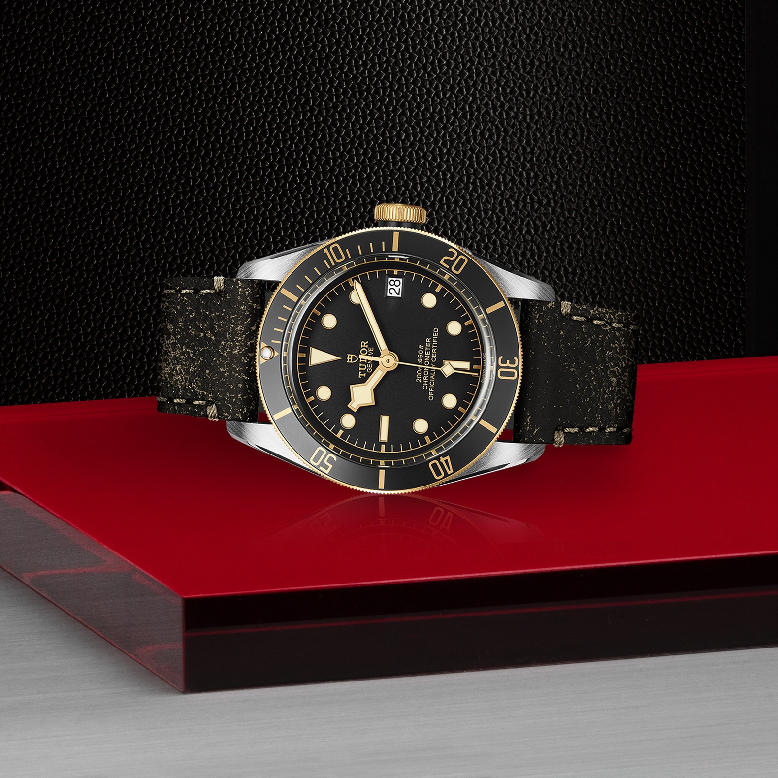 Tudor Black Bay