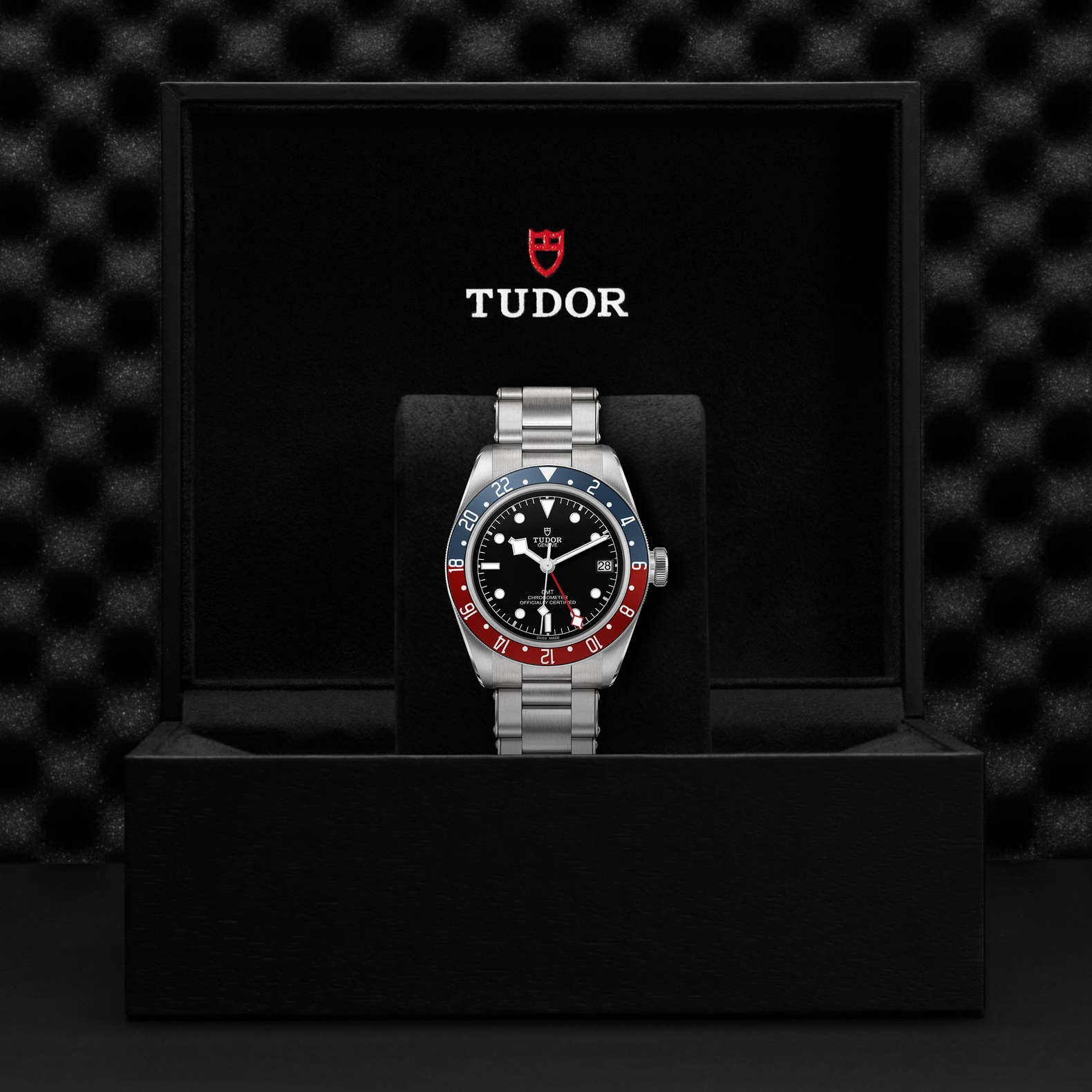 Tudor Black Bay
