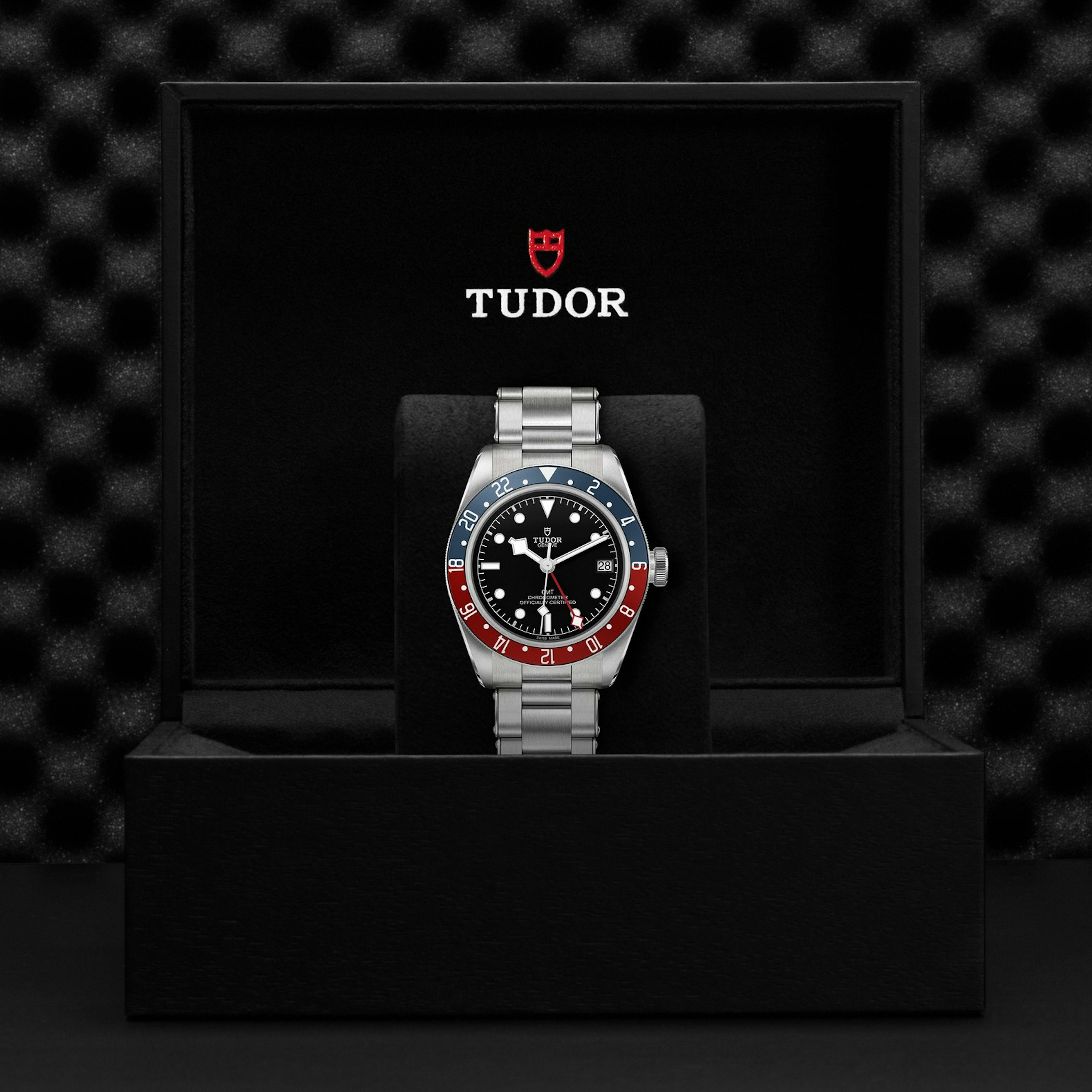 Tudor Black Bay
