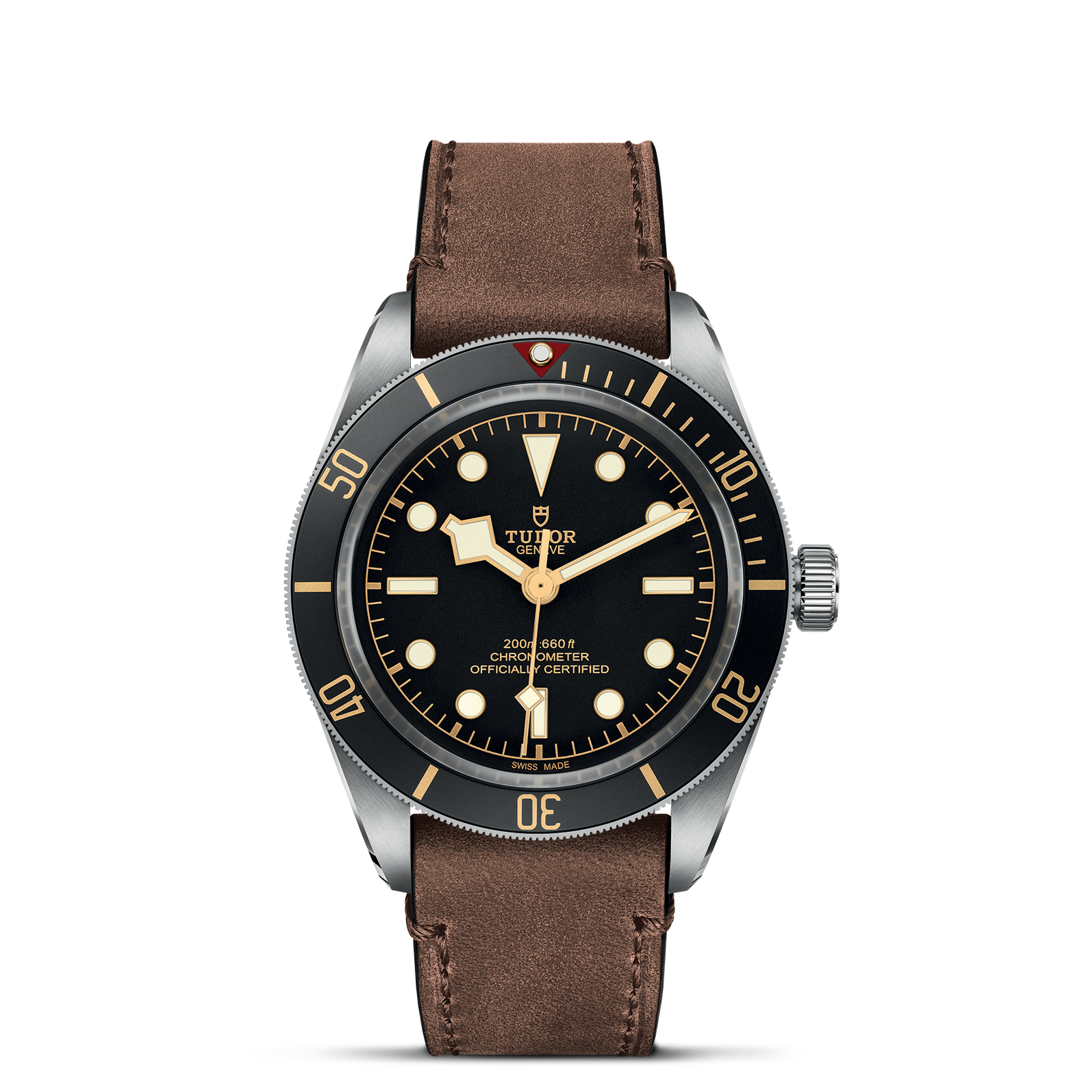 Tudor Black Bay
