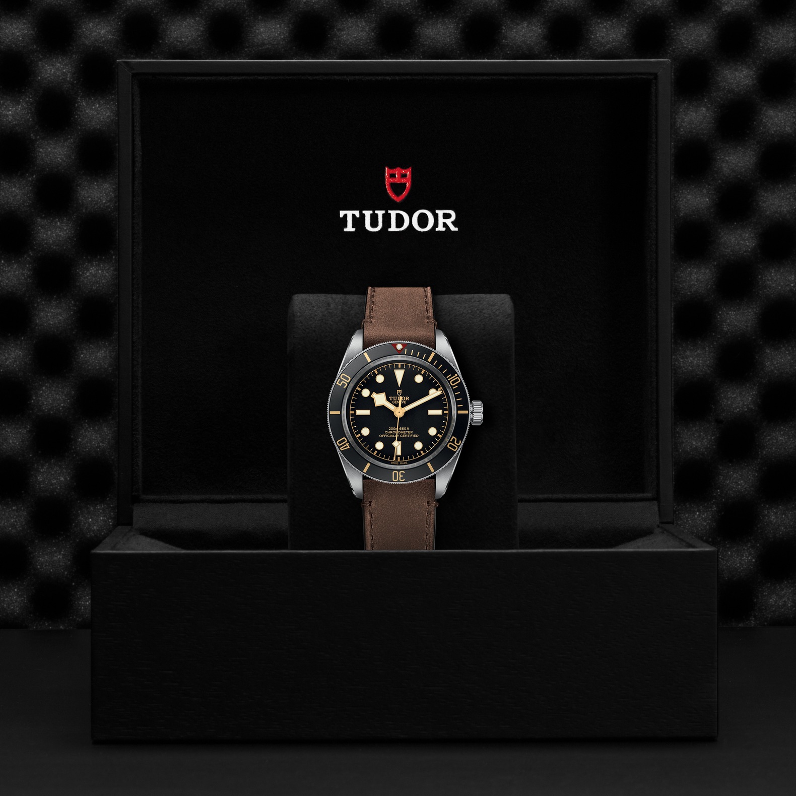 Tudor Black Bay