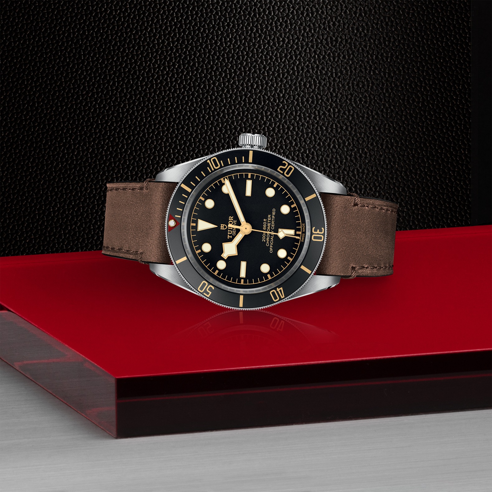 Tudor Black Bay