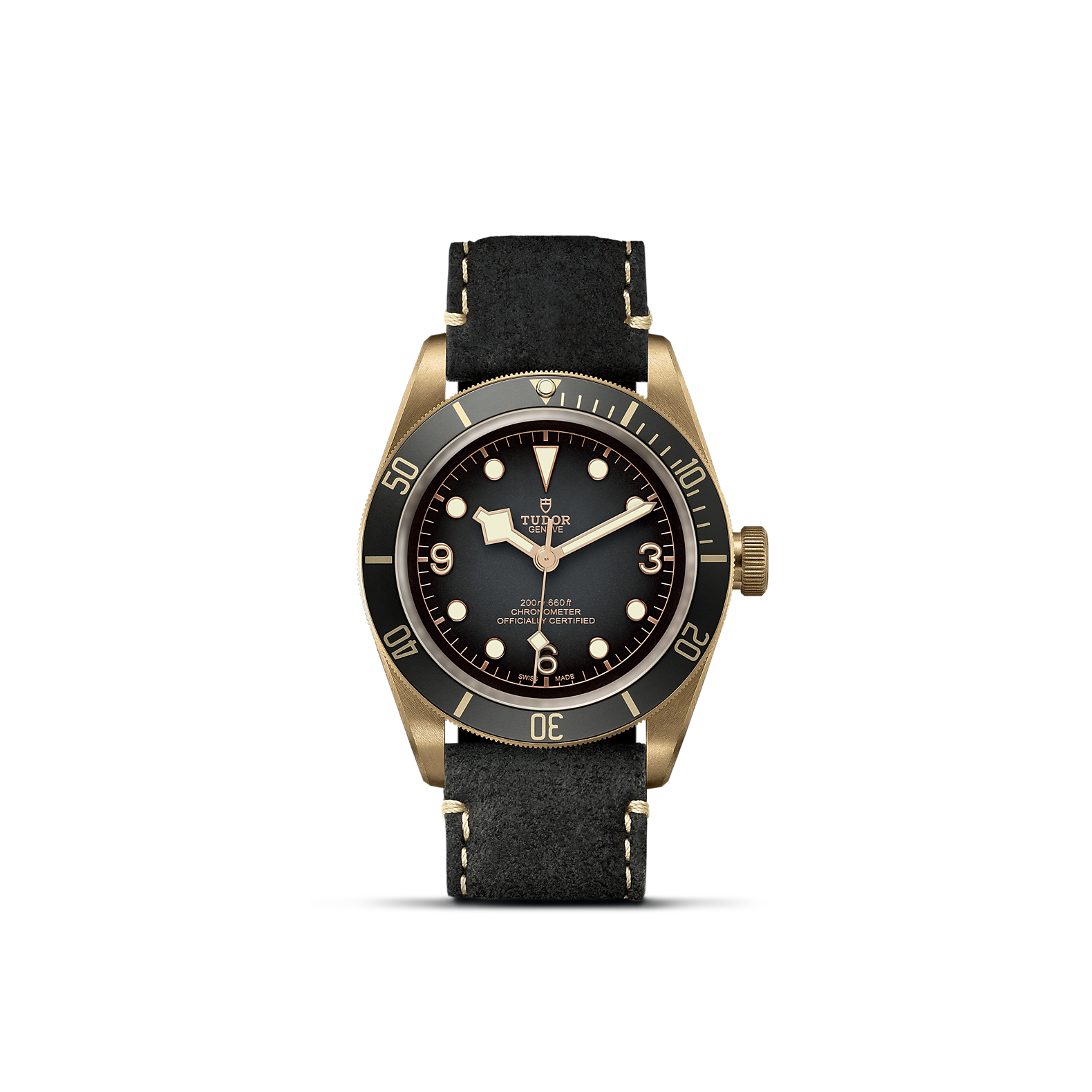 Tudor Black Bay