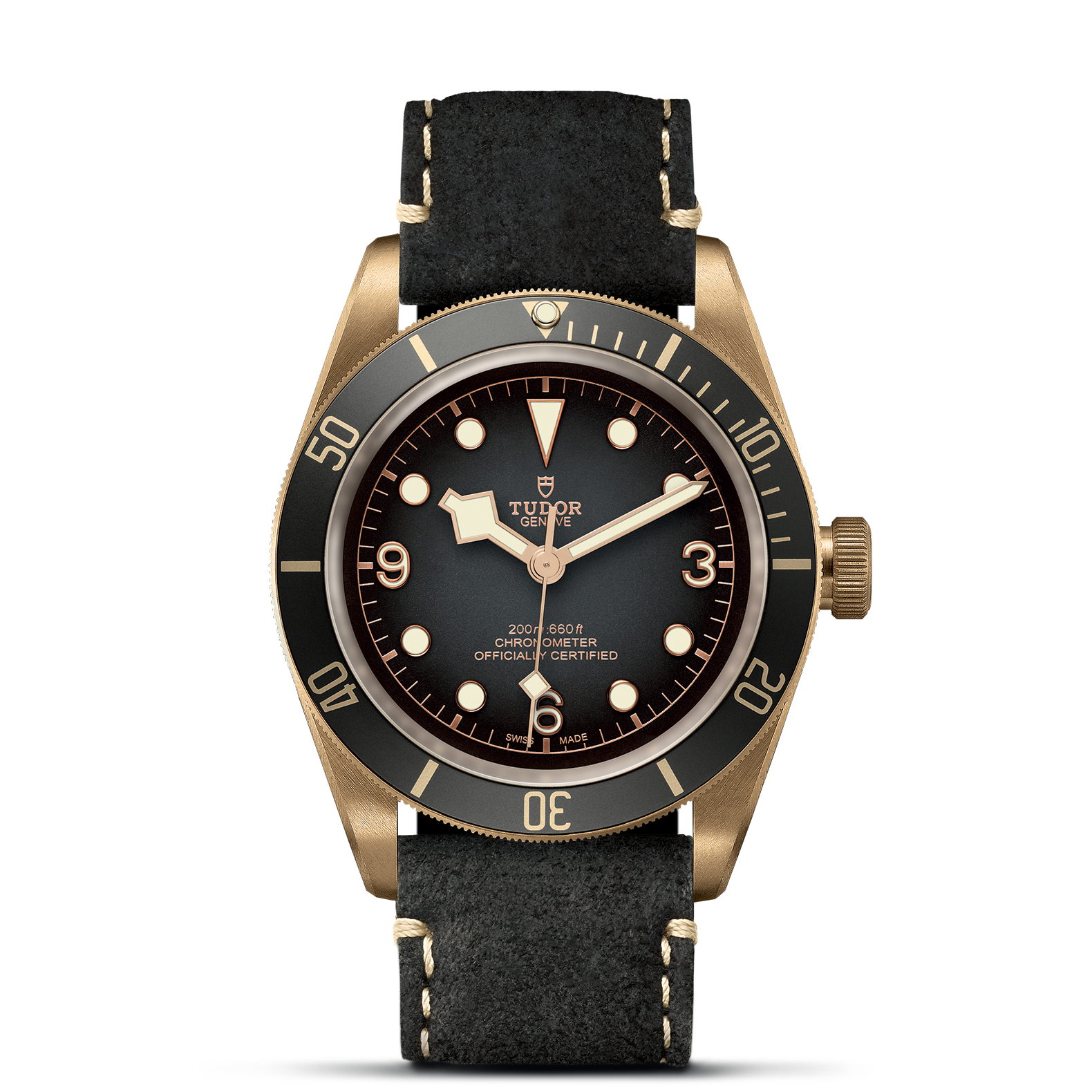 Tudor Black Bay
