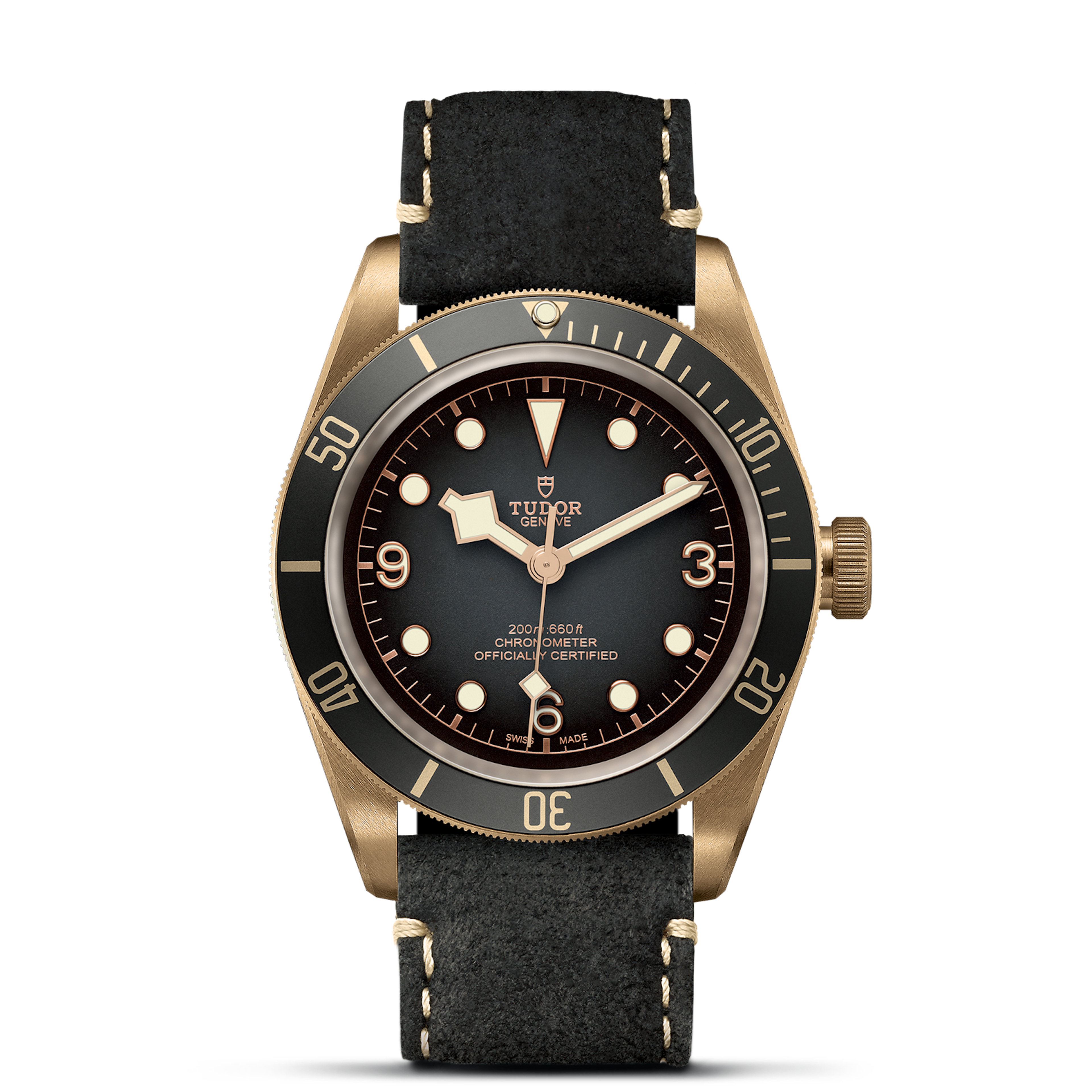 Tudor Black Bay