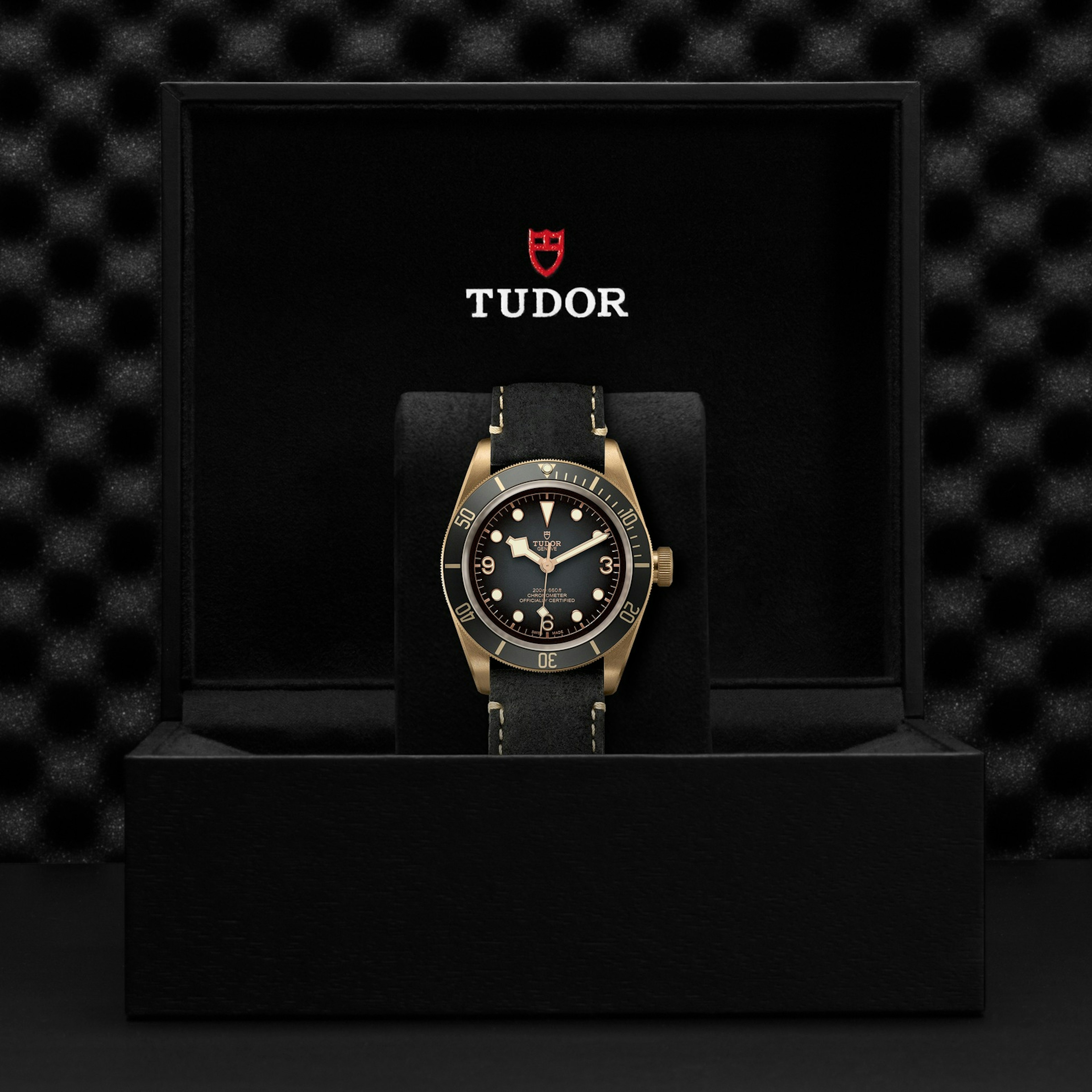 Tudor Black Bay