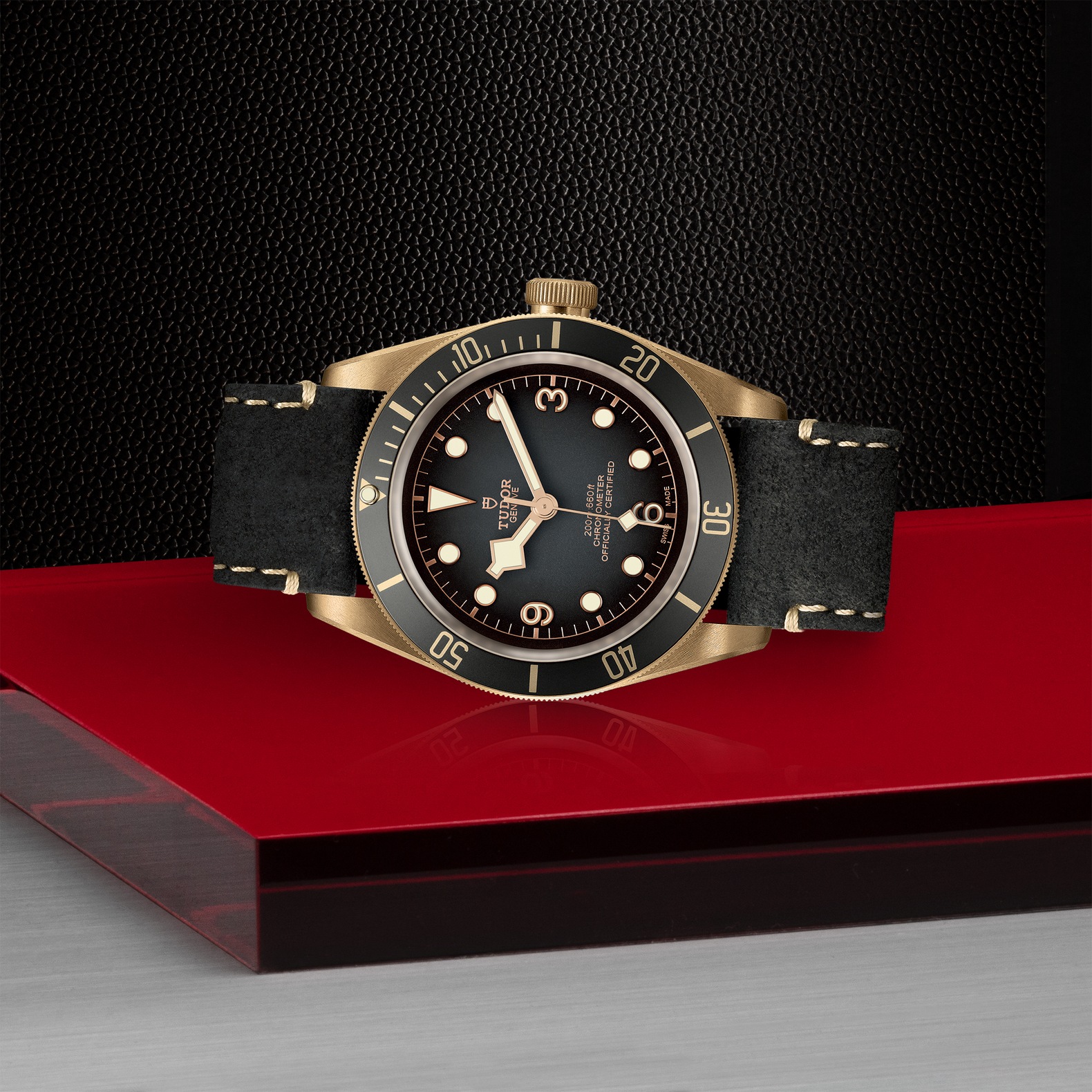 Tudor Black Bay