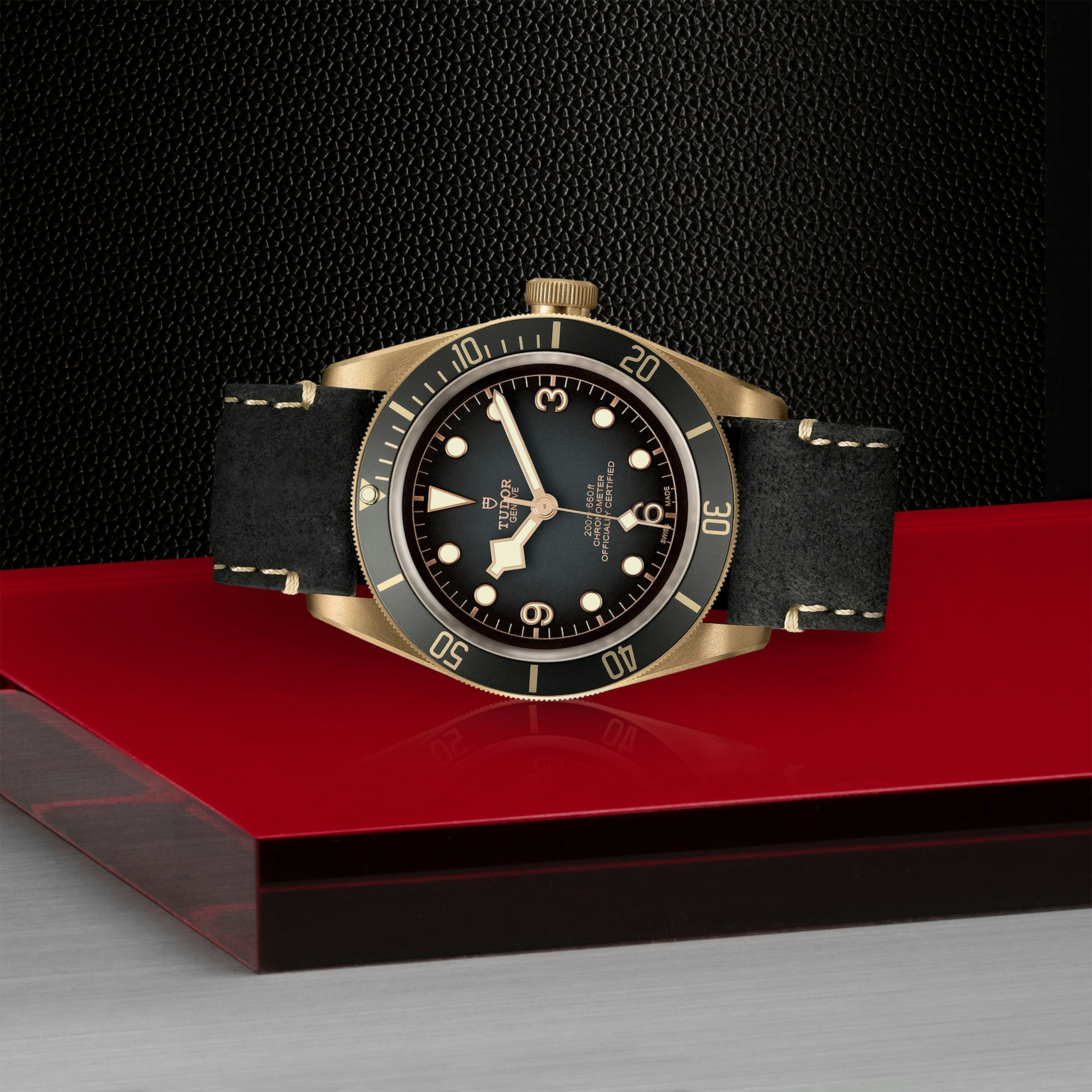 Tudor Black Bay