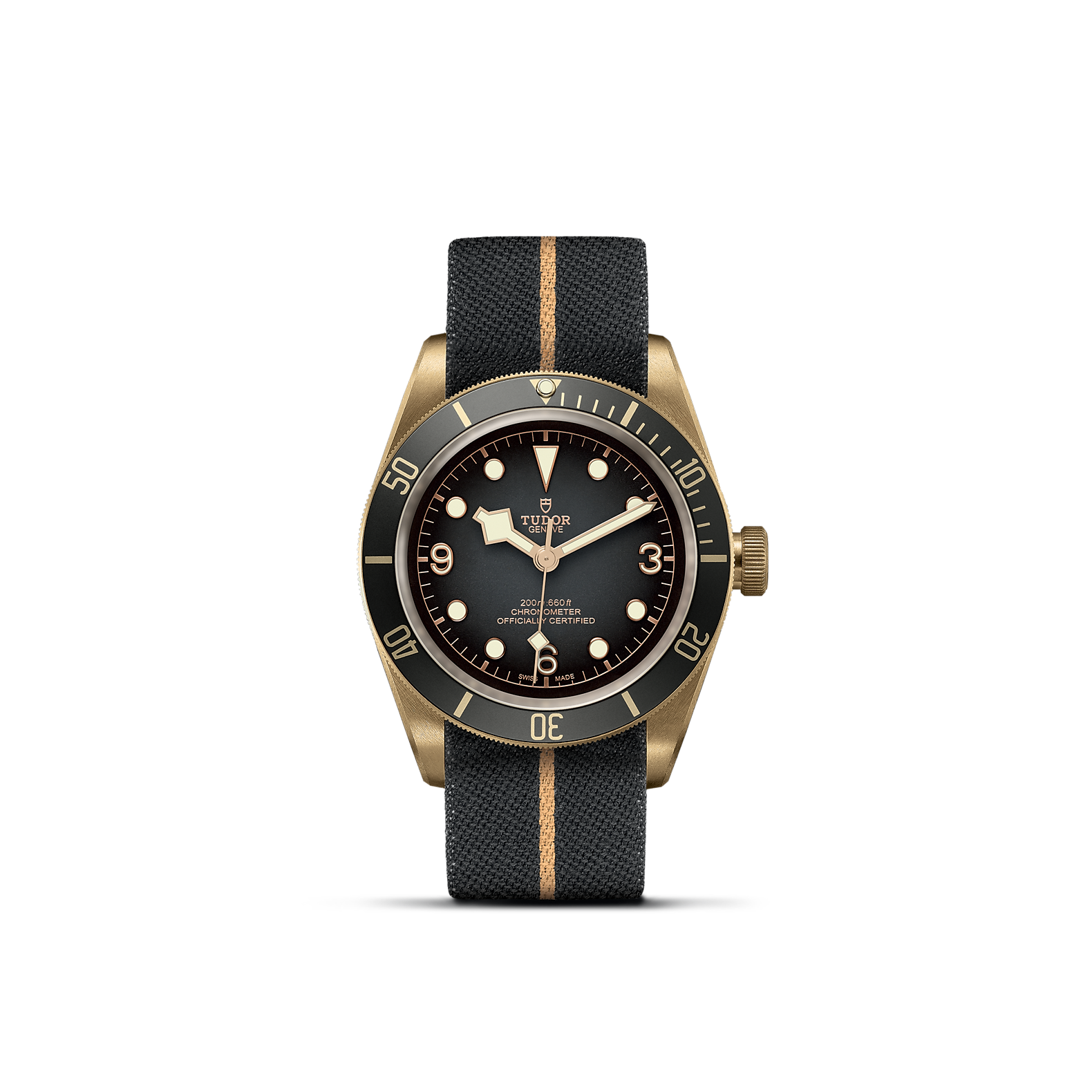 Tudor Black Bay