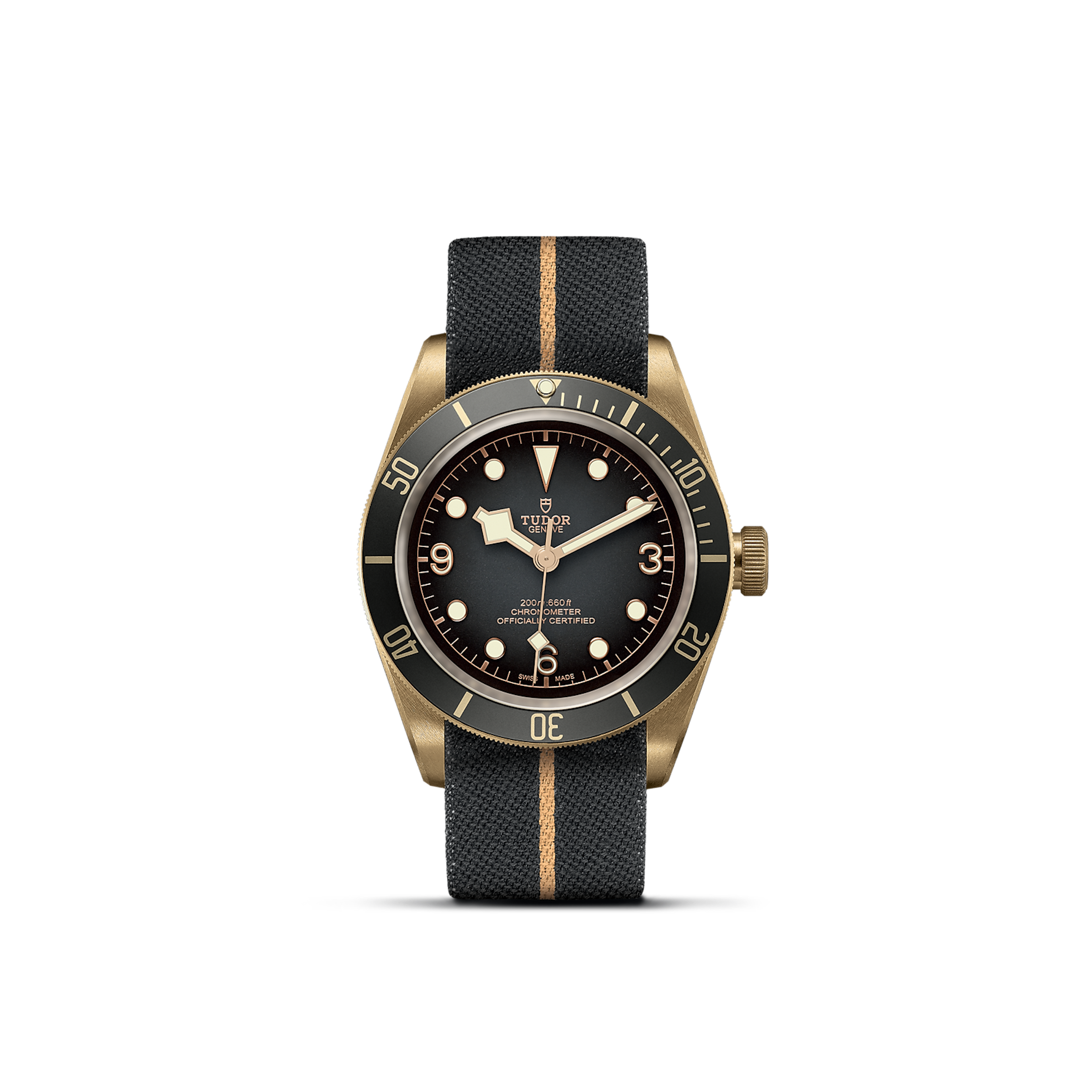 Tudor Black Bay