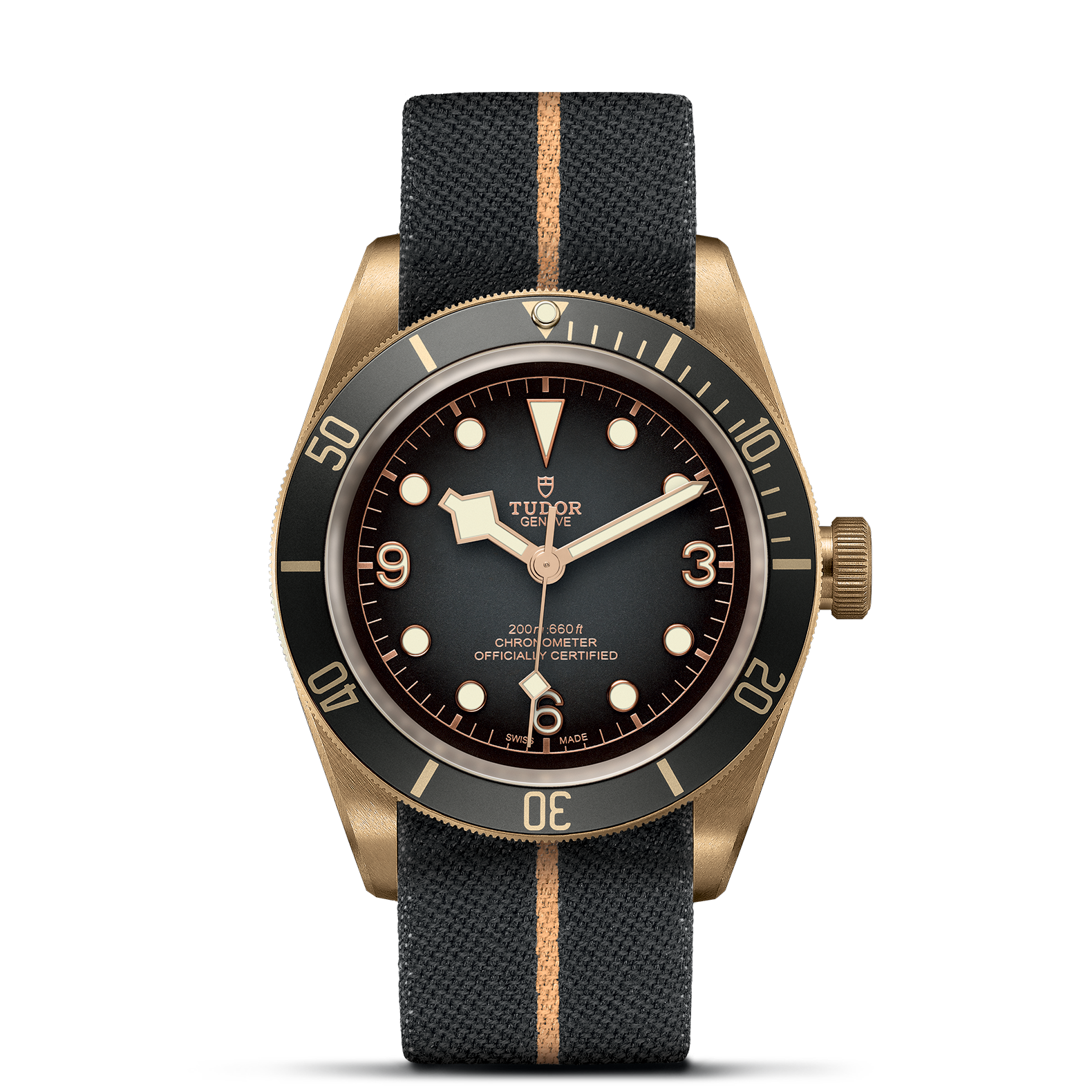 Tudor Black Bay