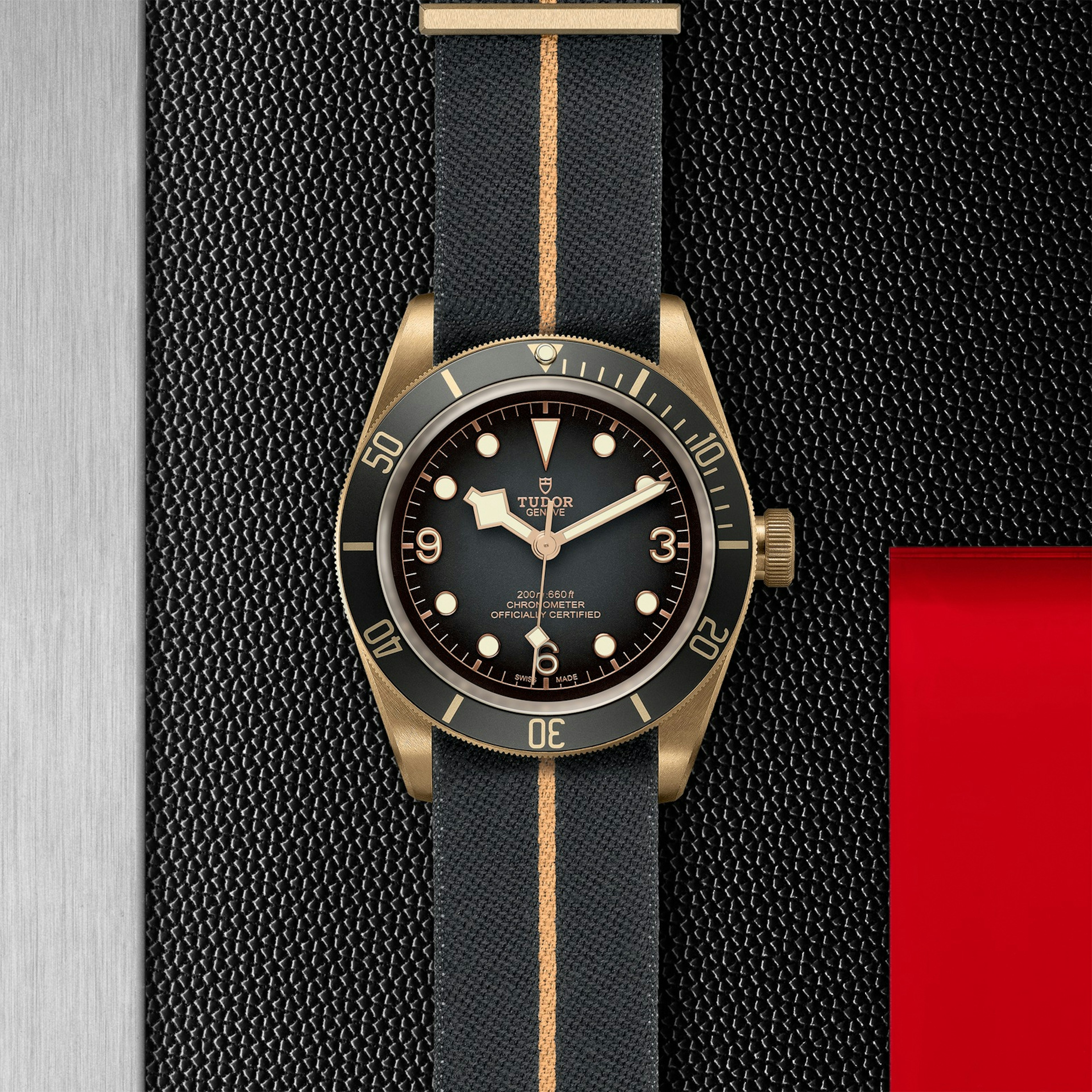 Tudor Black Bay