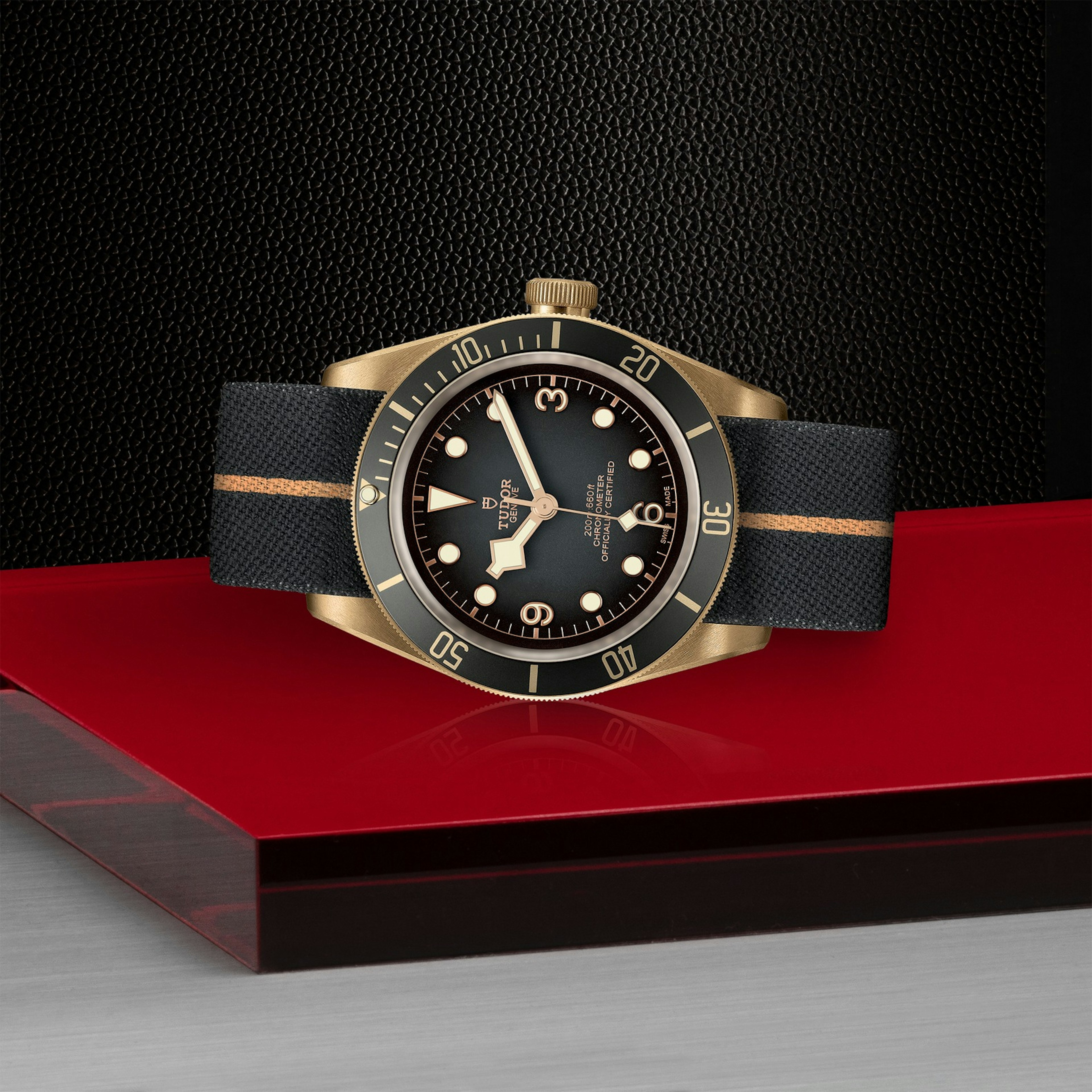 Tudor Black Bay