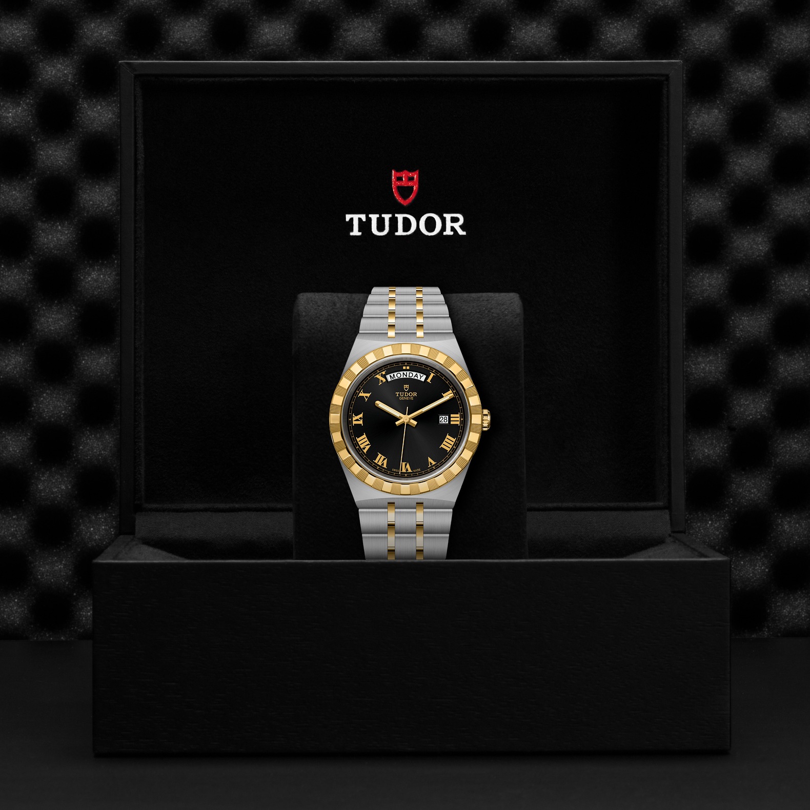 Tudor Royal 41