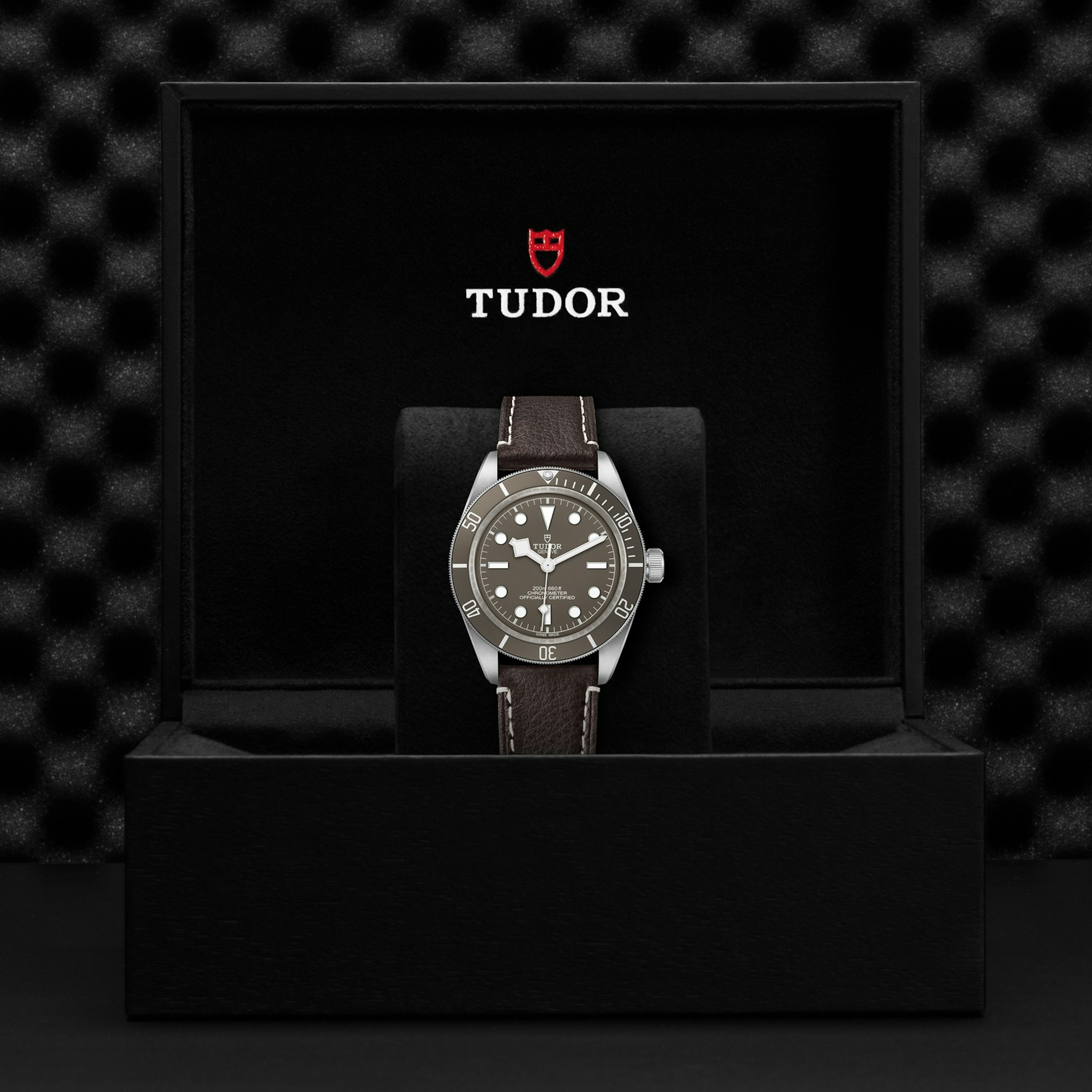 Tudor Black Bay Fifty-Eight 925W