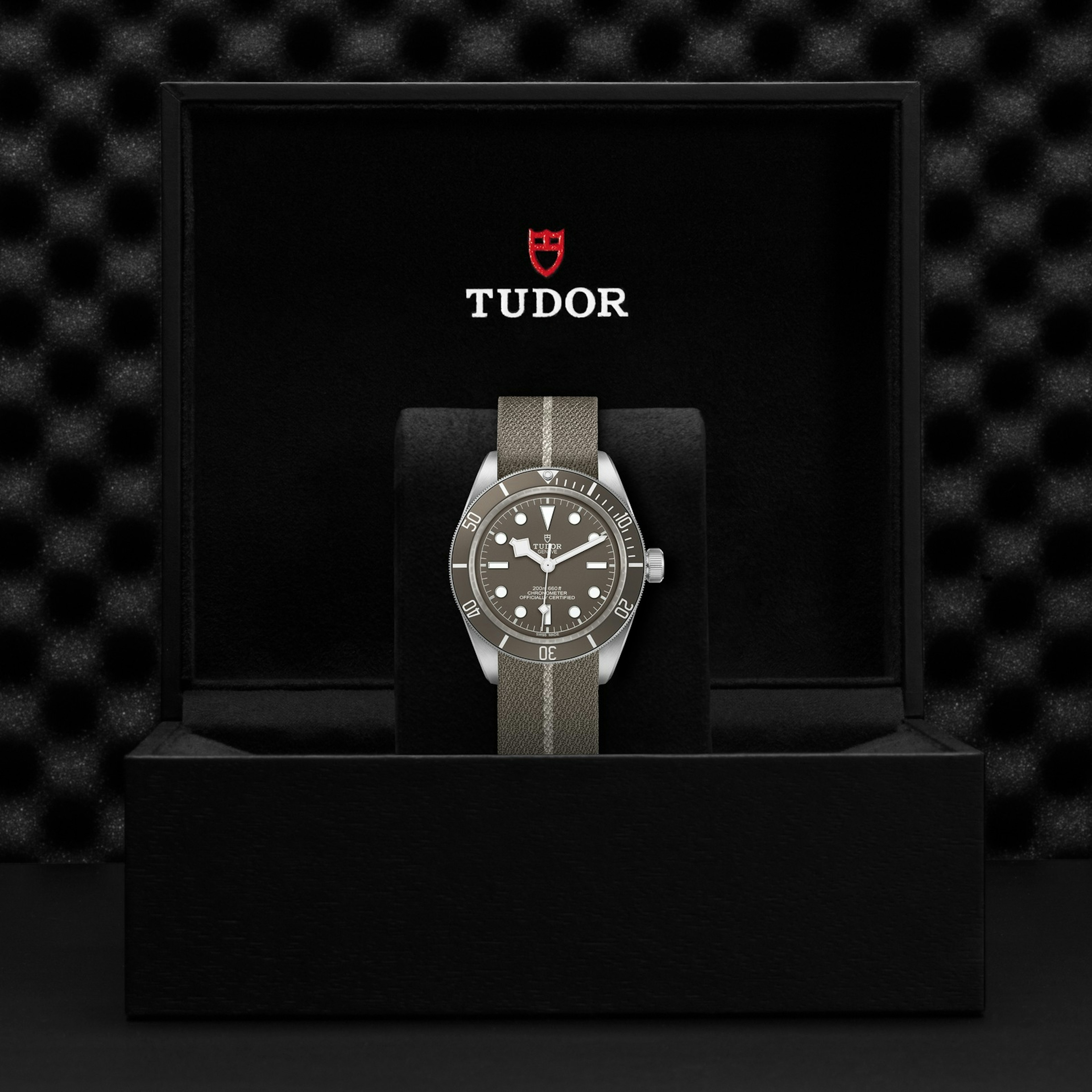 Tudor Black Bay Fifty-Eight 925W