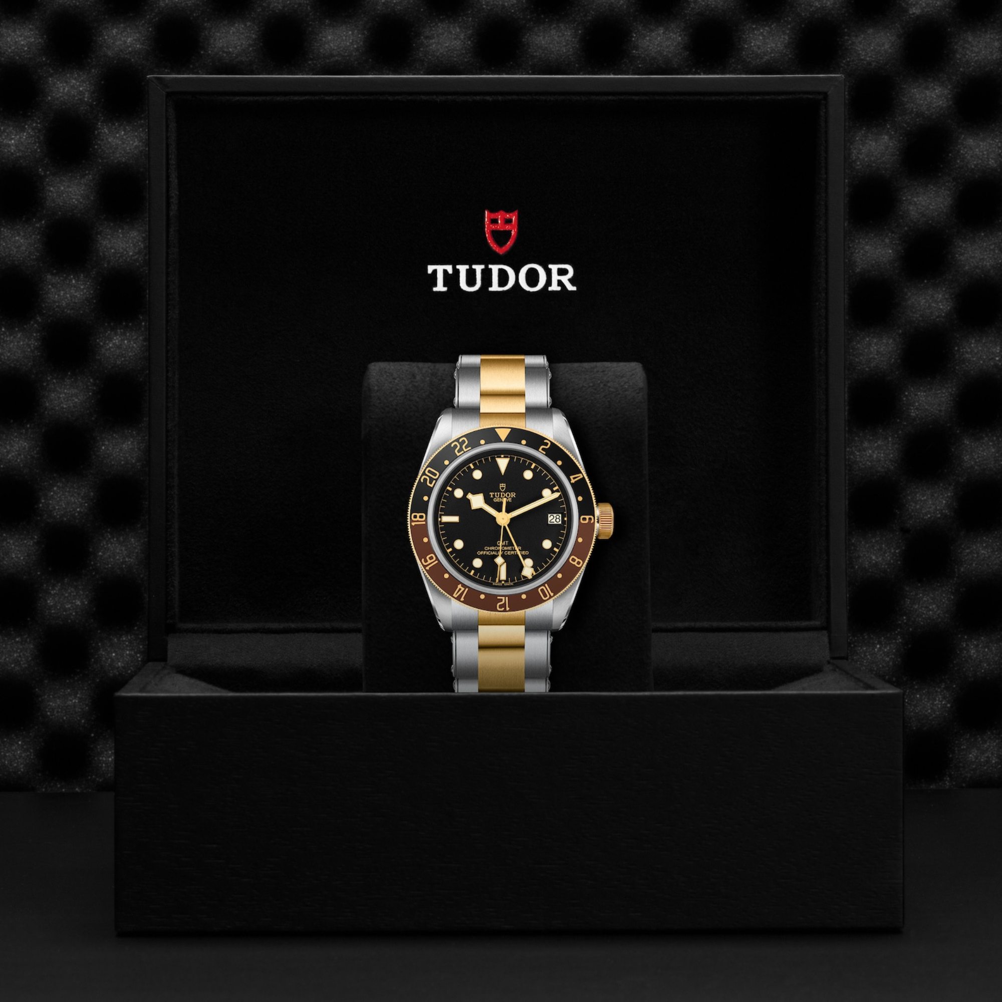 Tudor Black Bay GMT
