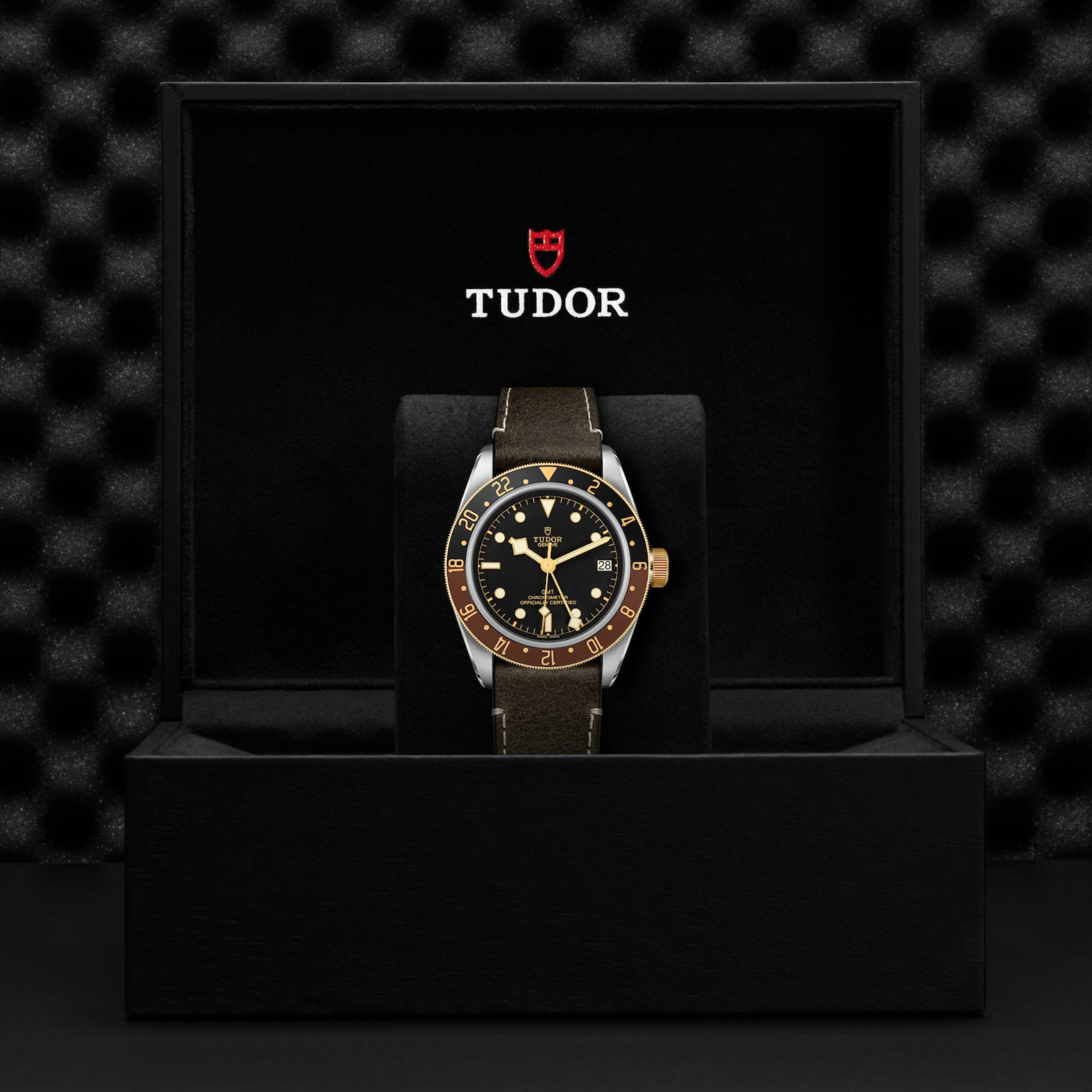 Tudor Black Bay GMT