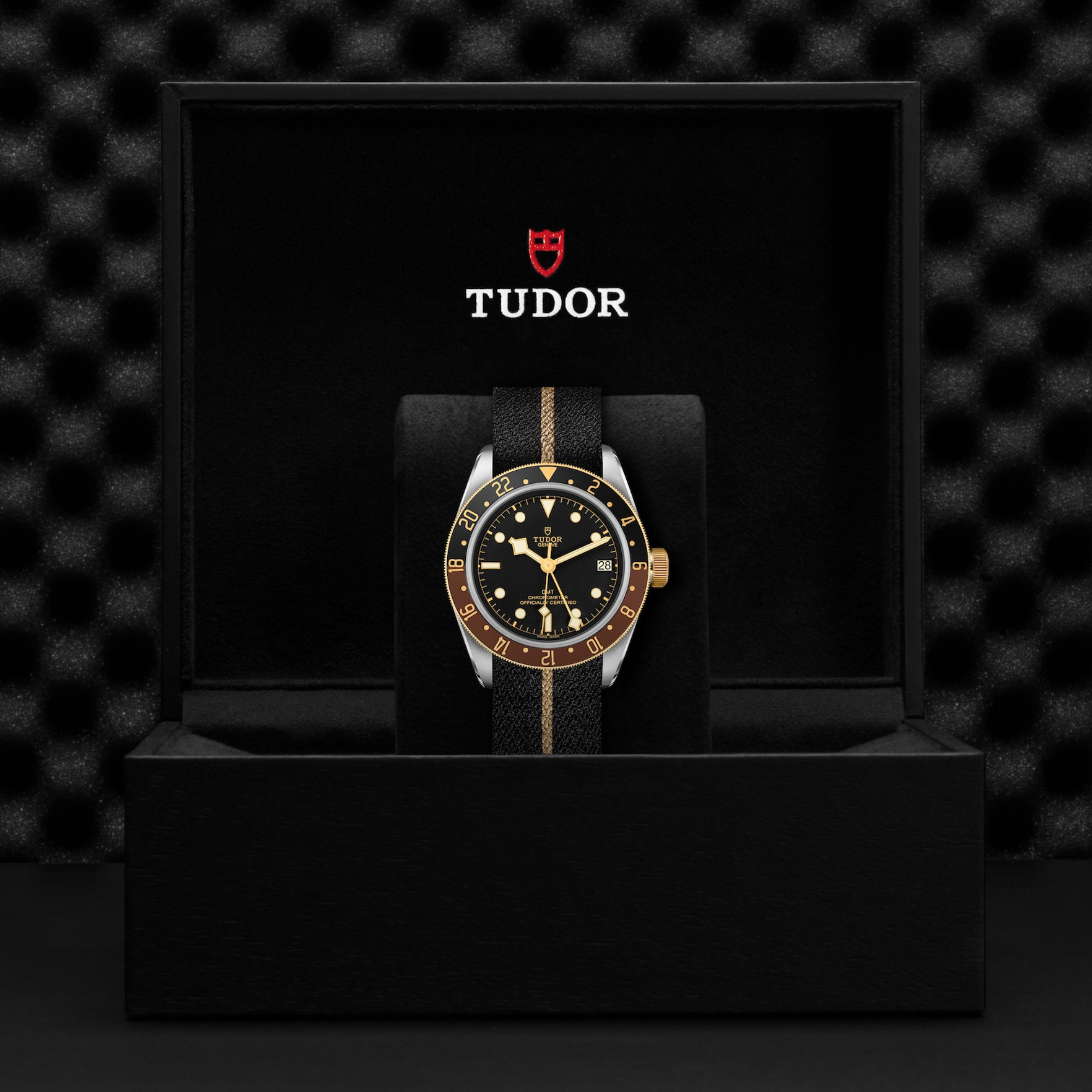 Tudor Black Bay GMT