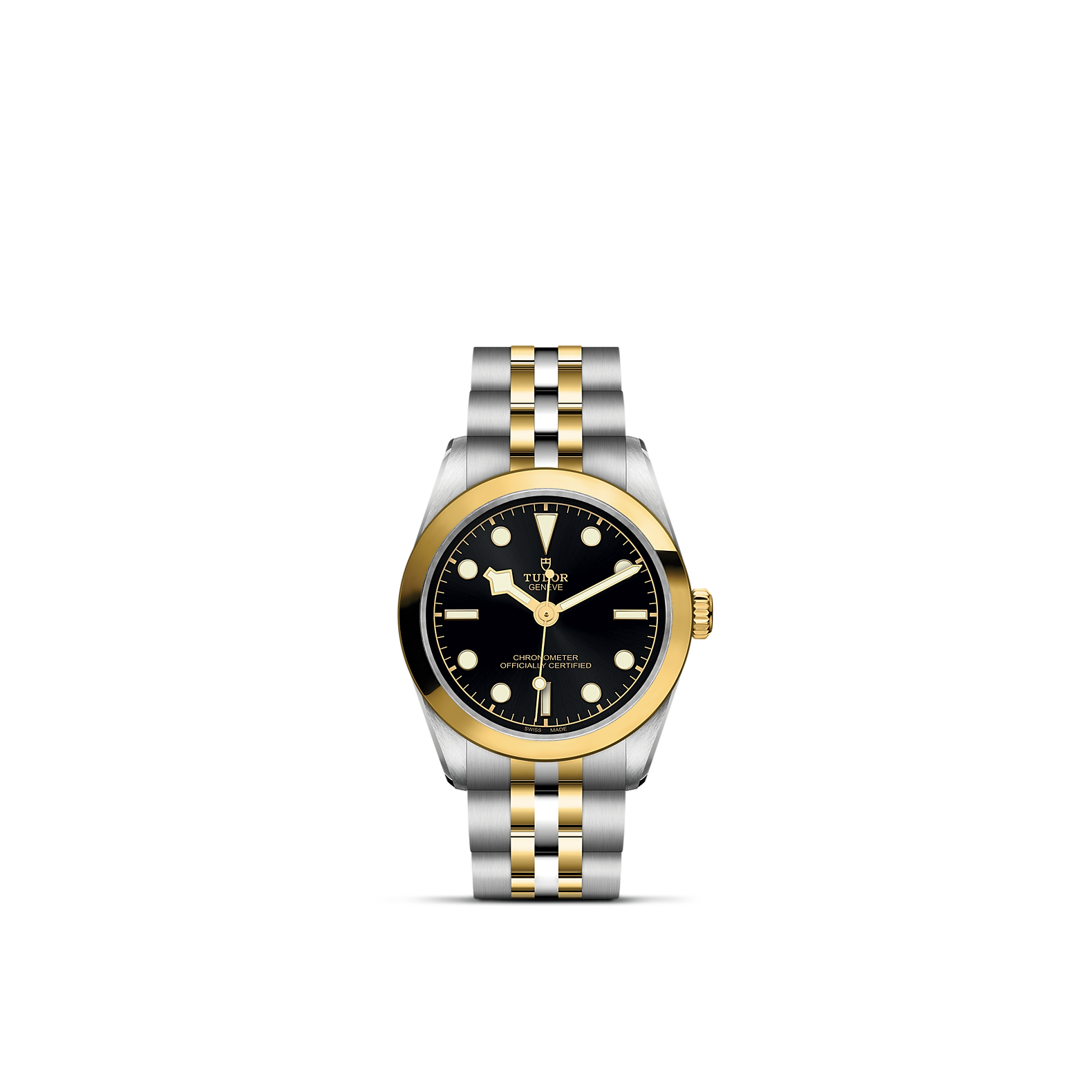 Tudor Black Bay S&G