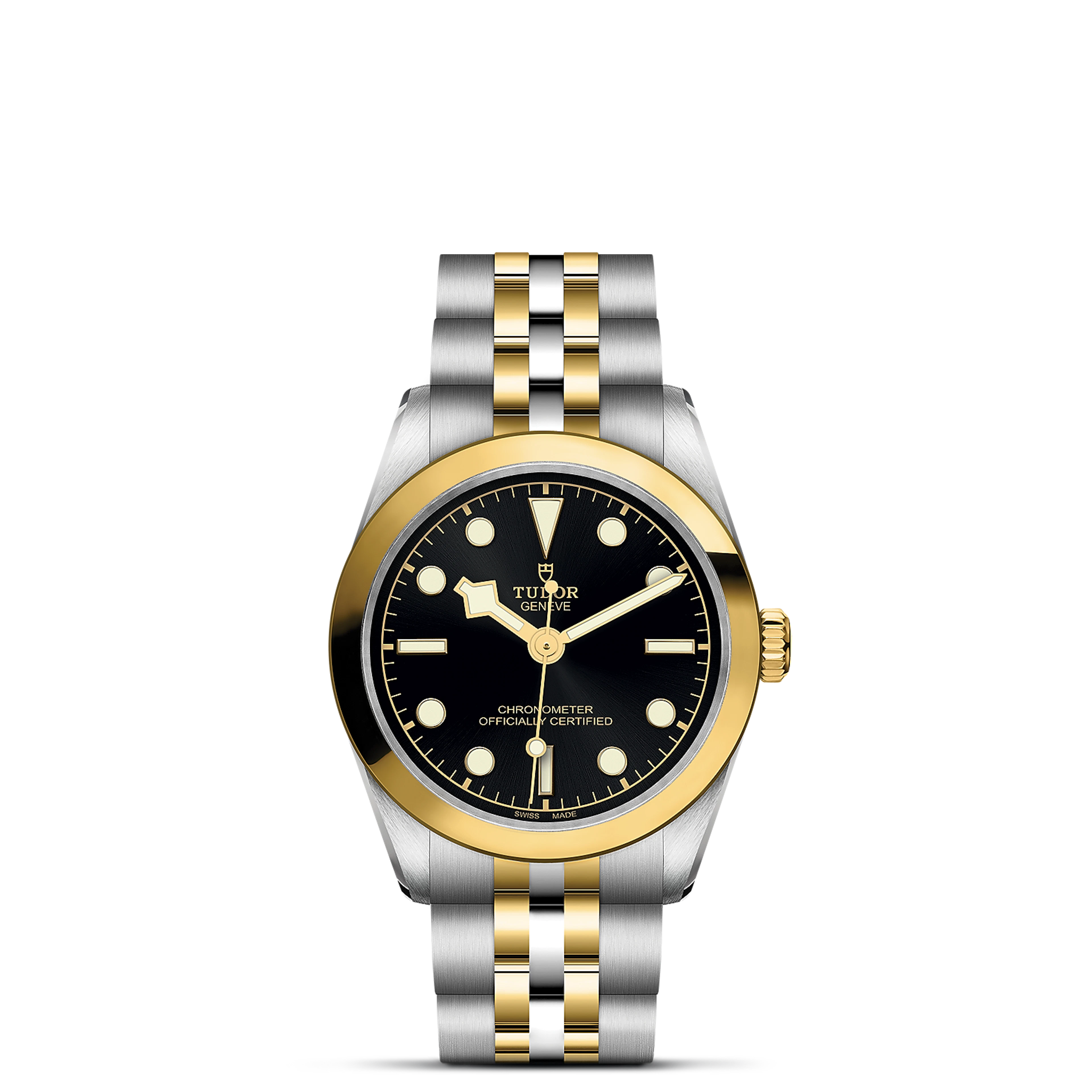 Tudor Black Bay S&G