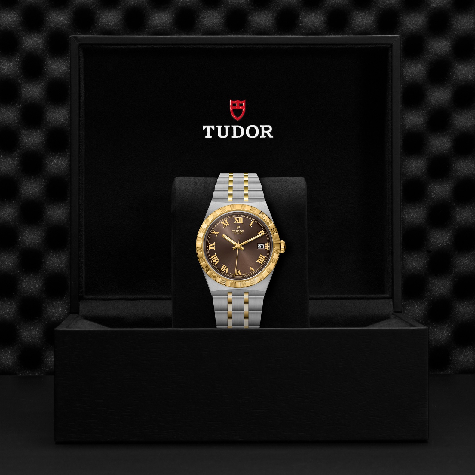 Tudor Royal 38