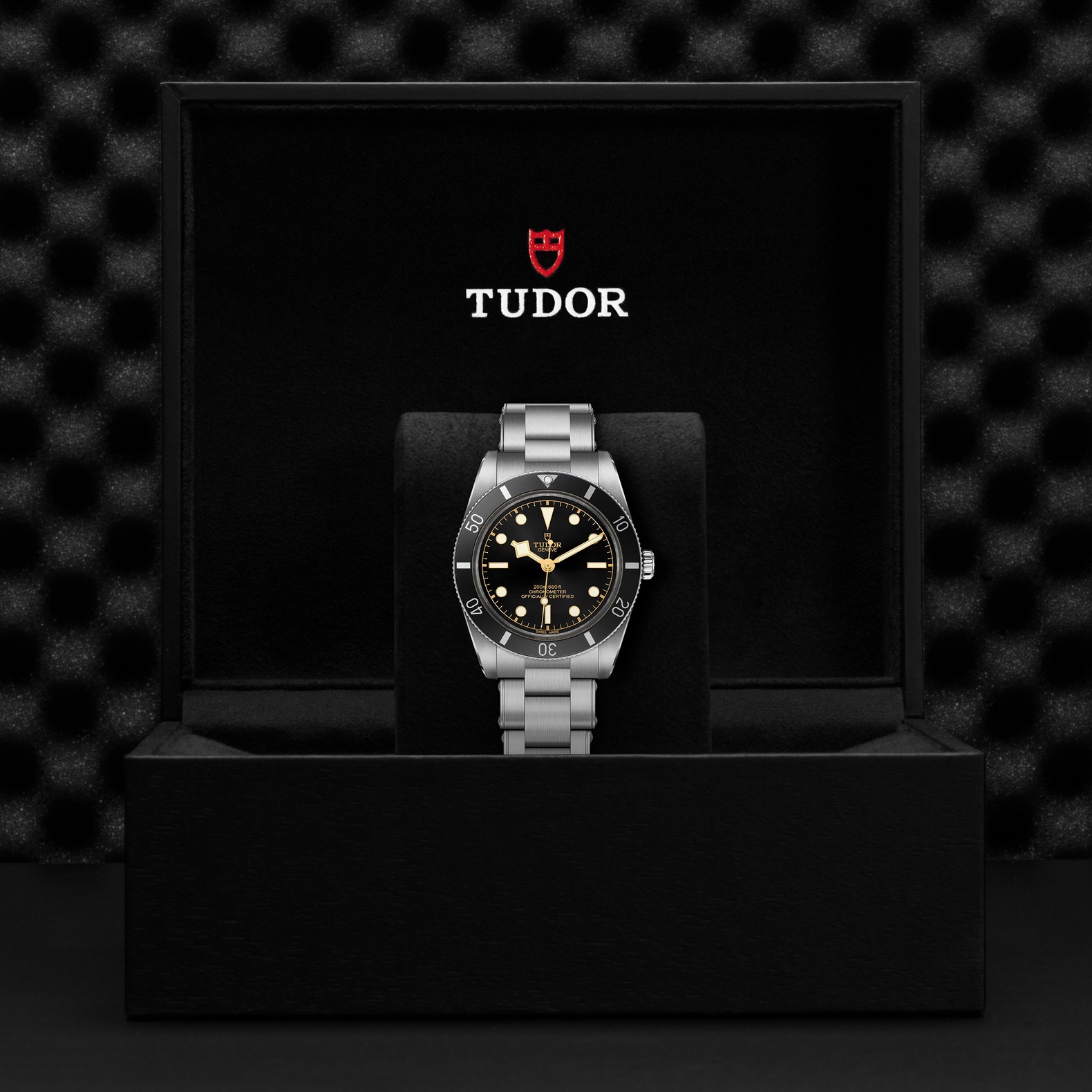 Tudor Black Bay 54