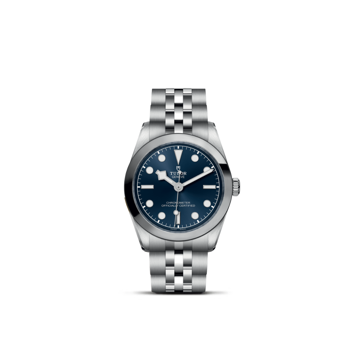 Tudor Black Bay 31