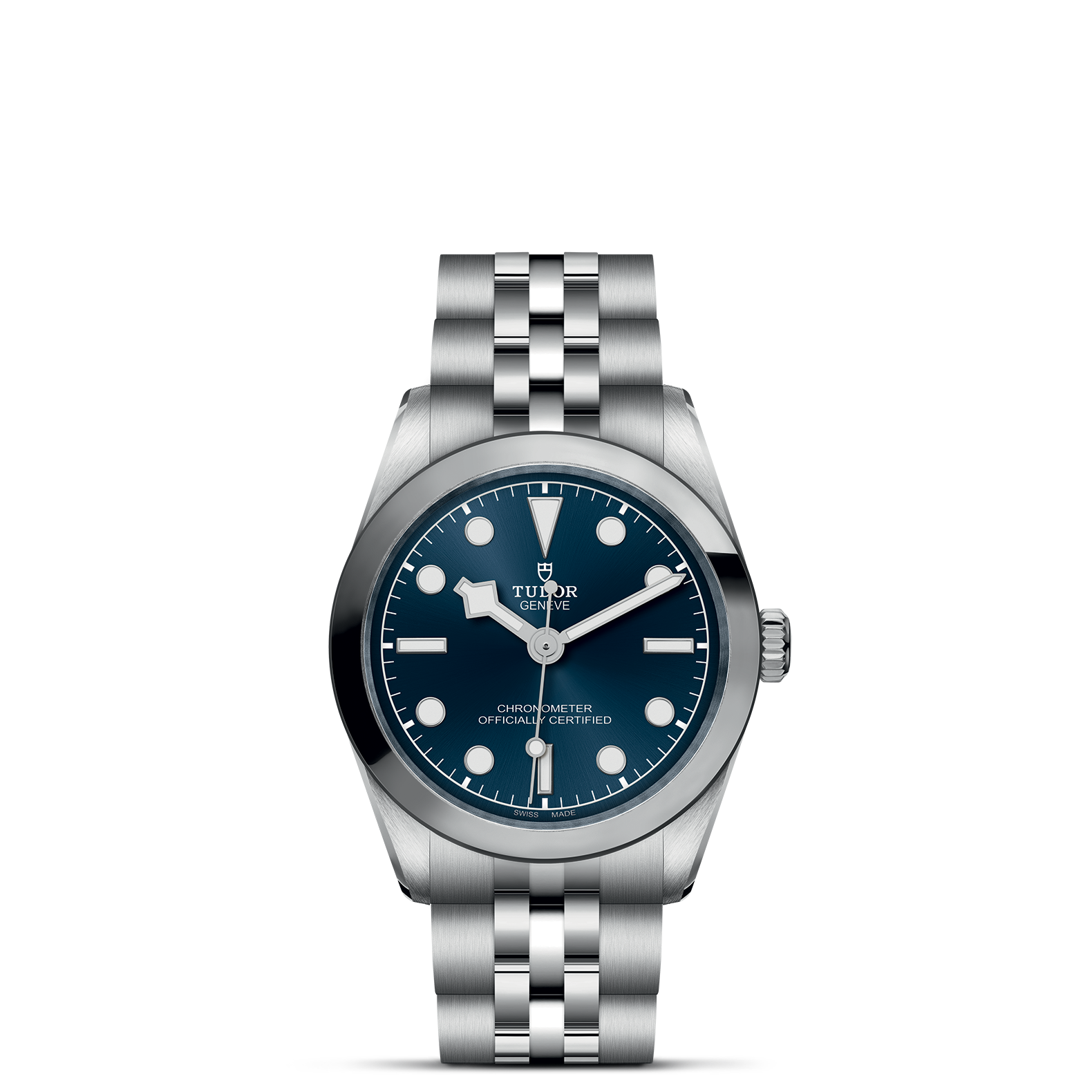Tudor Black Bay 31