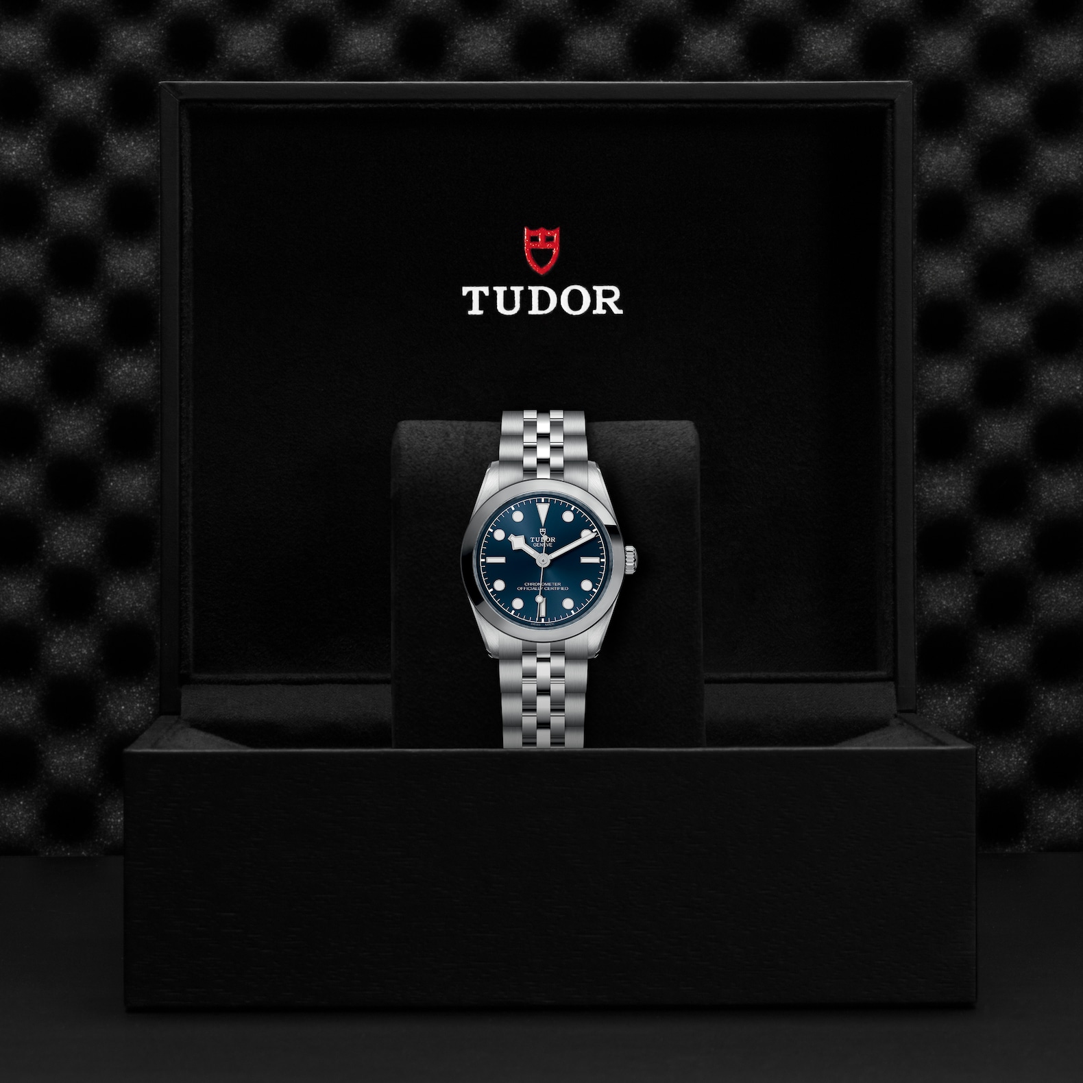 Tudor Black Bay 31
