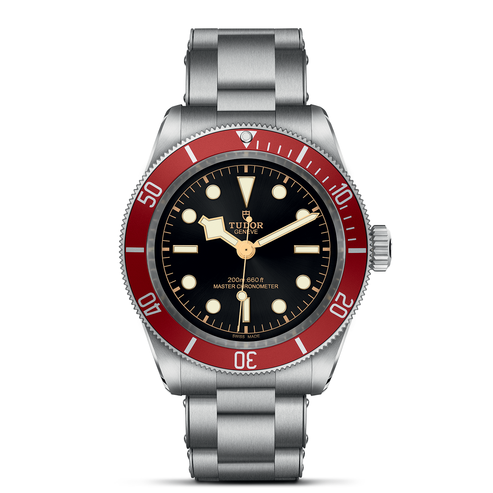 Tudor Black Bay