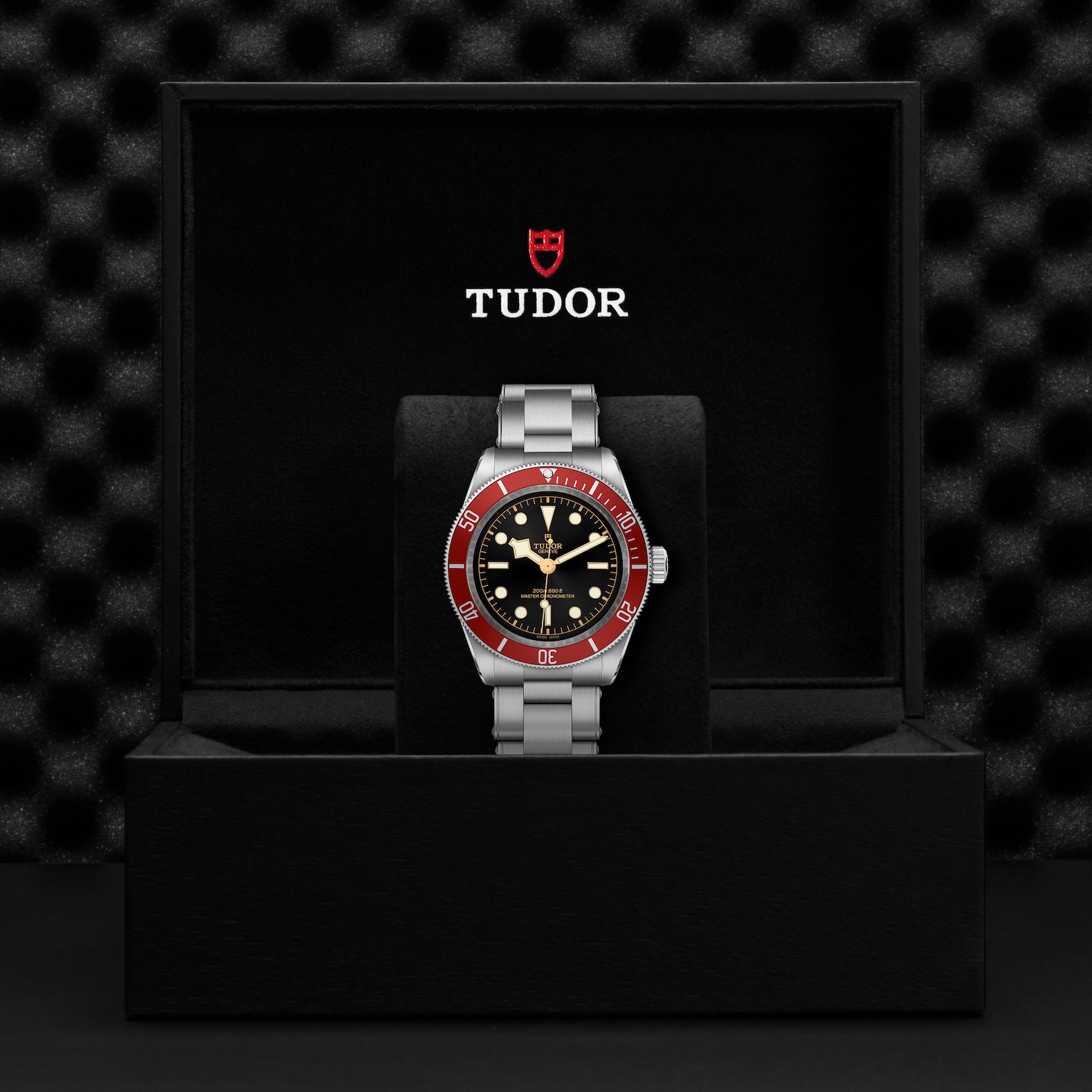 Tudor Black Bay