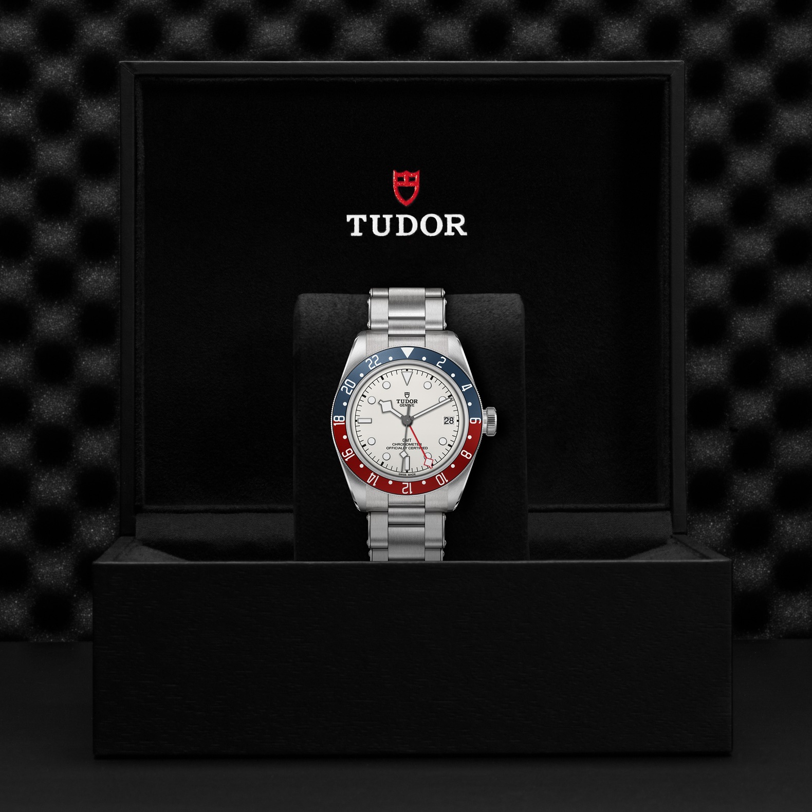 Tudor Black Bay